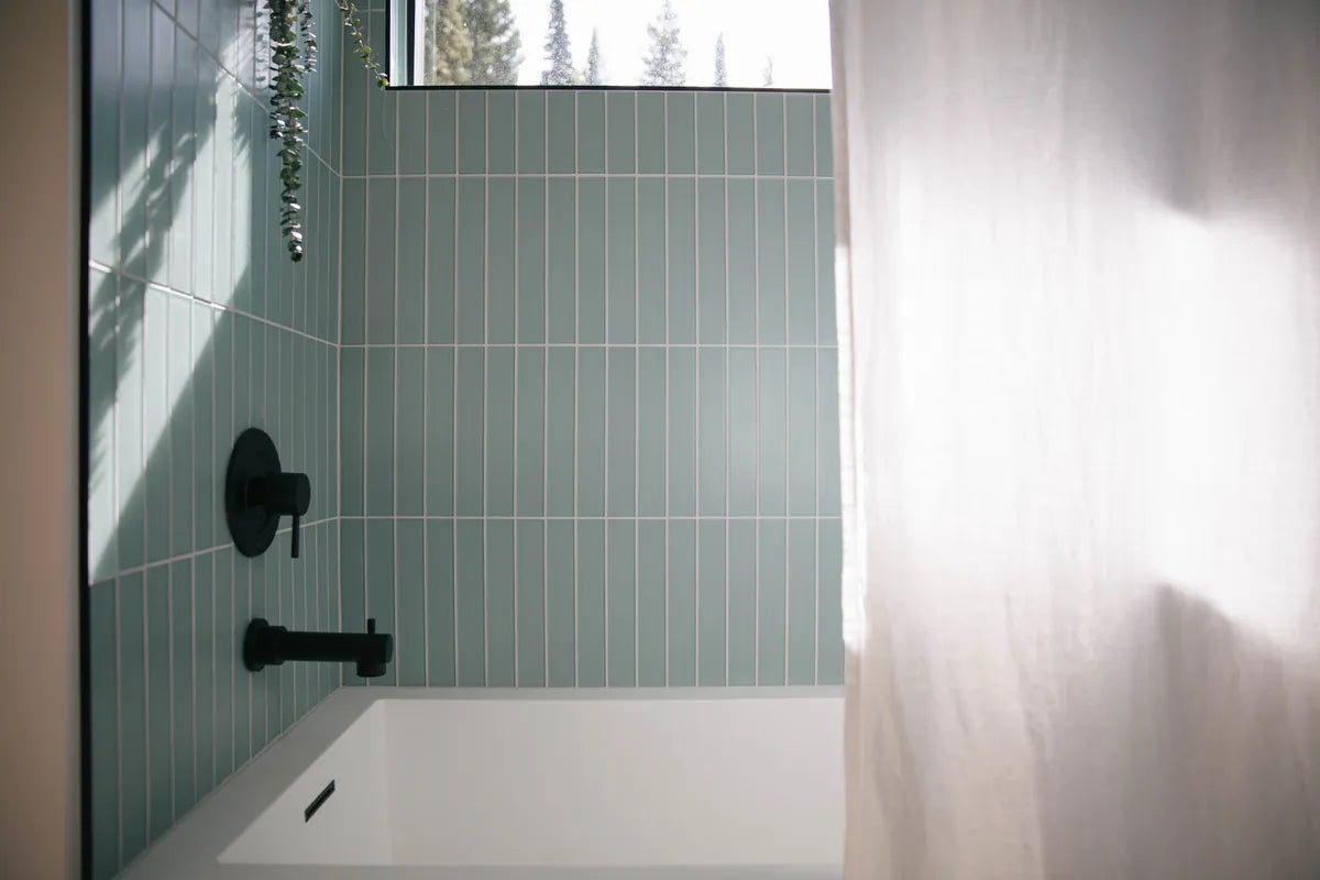 2019 Q3 Image Residential Full Rights Influencer Alex Strohl Alex Dabene Bathroom Glass Shower Walls Great Blue Heron Matte Gloss 2X12 Vertical Straight Set Tub Detail Fc 264646
