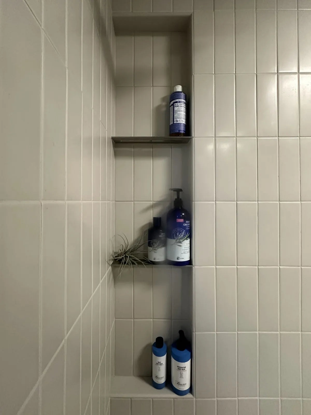 2025 residential bathroom full usage 3x9 cloud cover satin 3x9 bullnose 6x12 bullnose Alan So Dana Condellire FC1056759 3