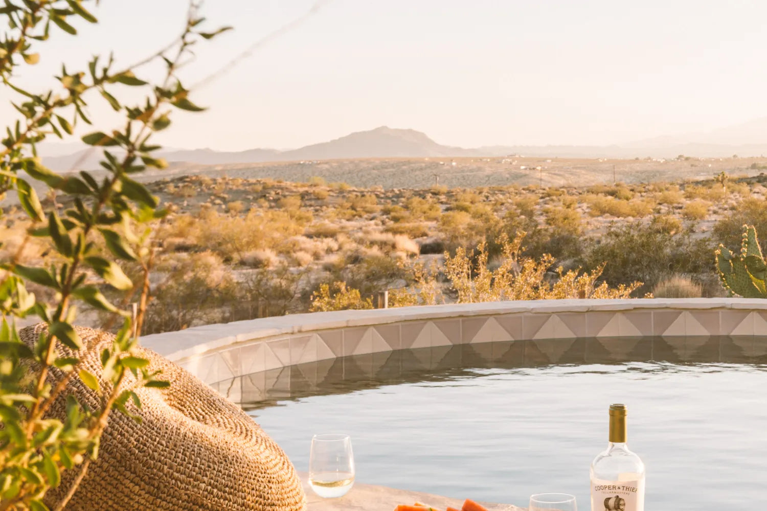 2018 Q4 Image Residential Influencer Joshua Tree House Pool Waterline Tile Triangle 6 Milky Way Sand Dune With Drinks Detail