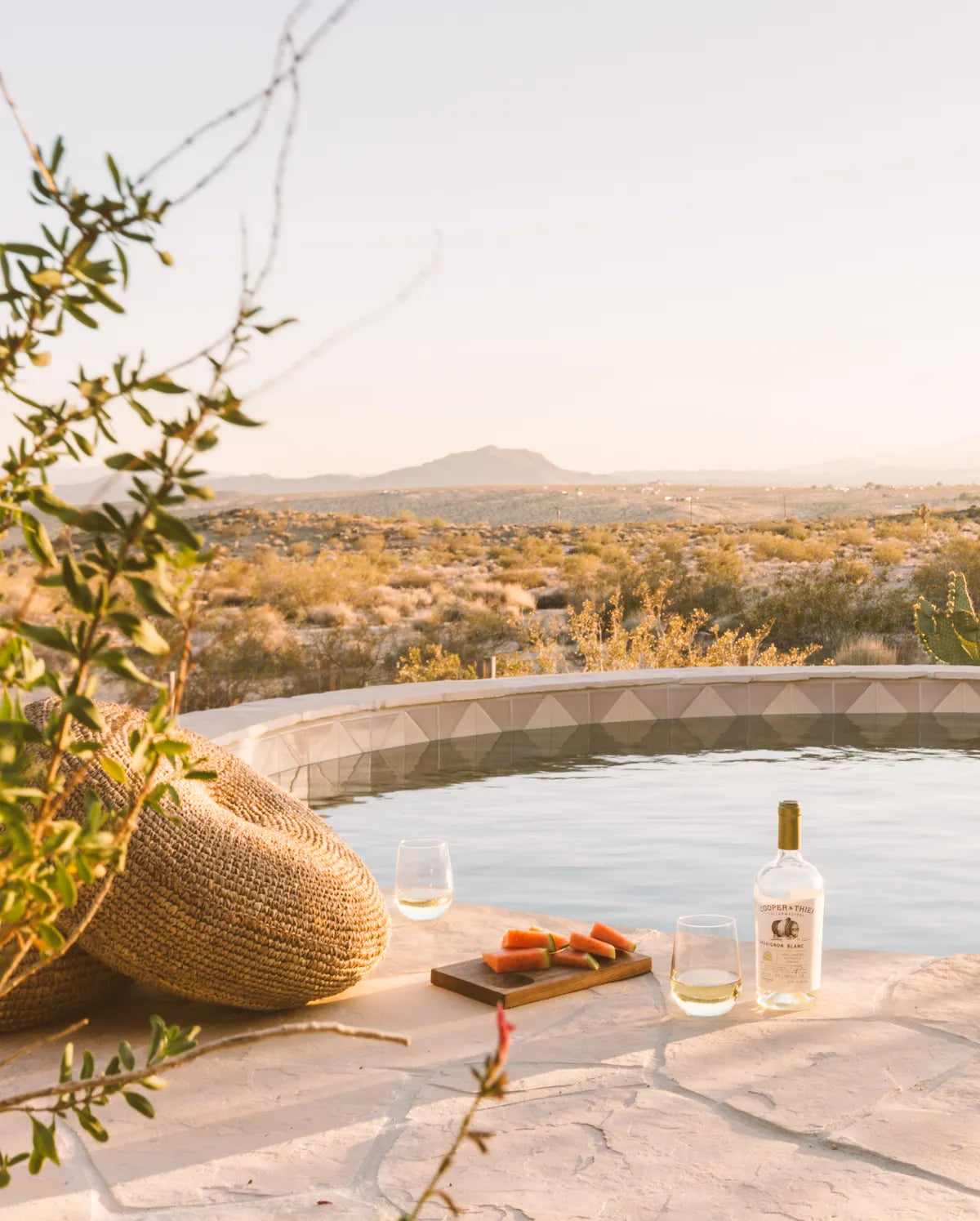 2018 Q4 Image Residential Influencer Joshua Tree House Pool Waterline Tile Triangle 6 Milky Way Sand Dune With Drinks Detail