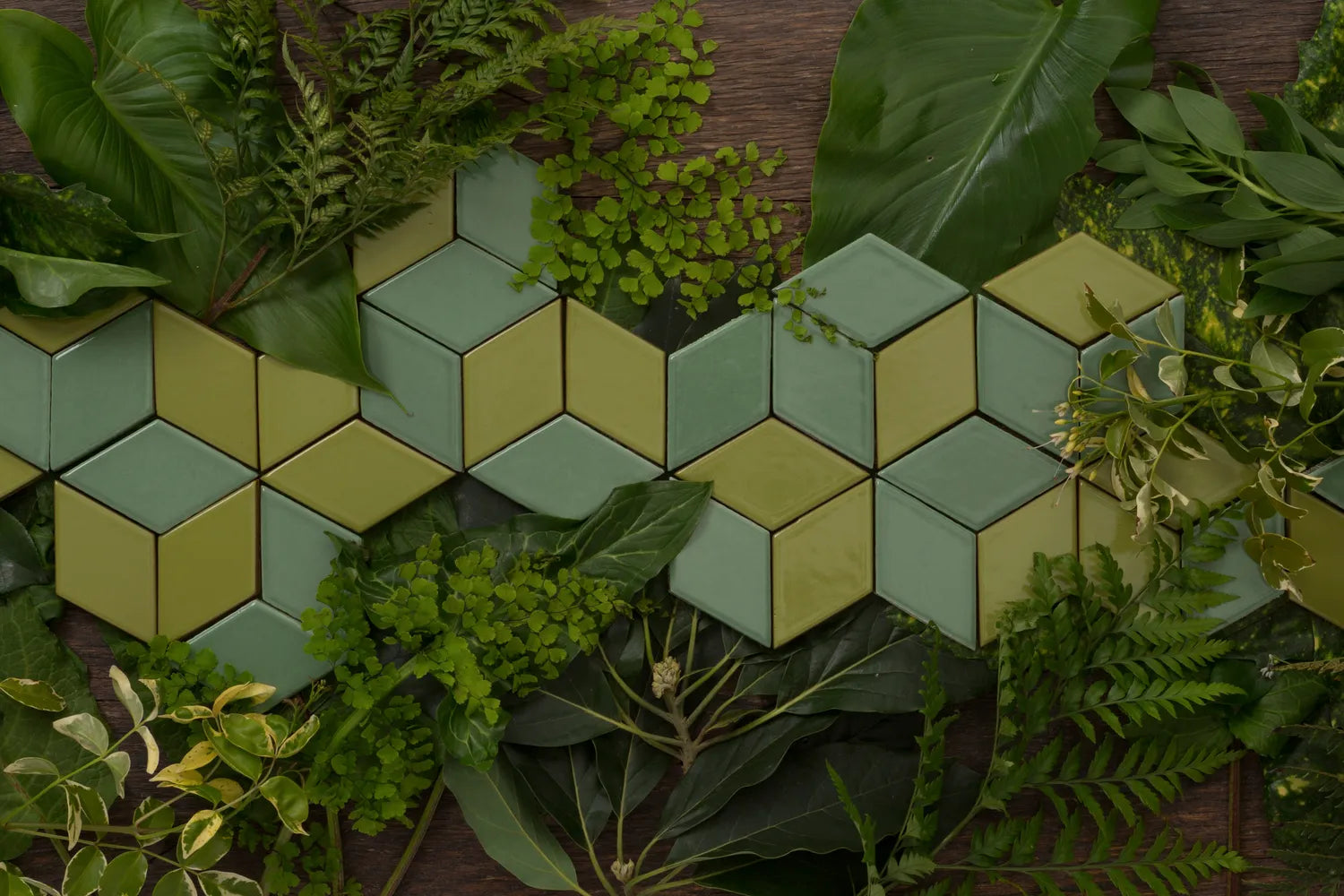 2018 Q1 Image Story Secret Garden Small Diamond Escher Limon Sea Green Wood Leaves 2