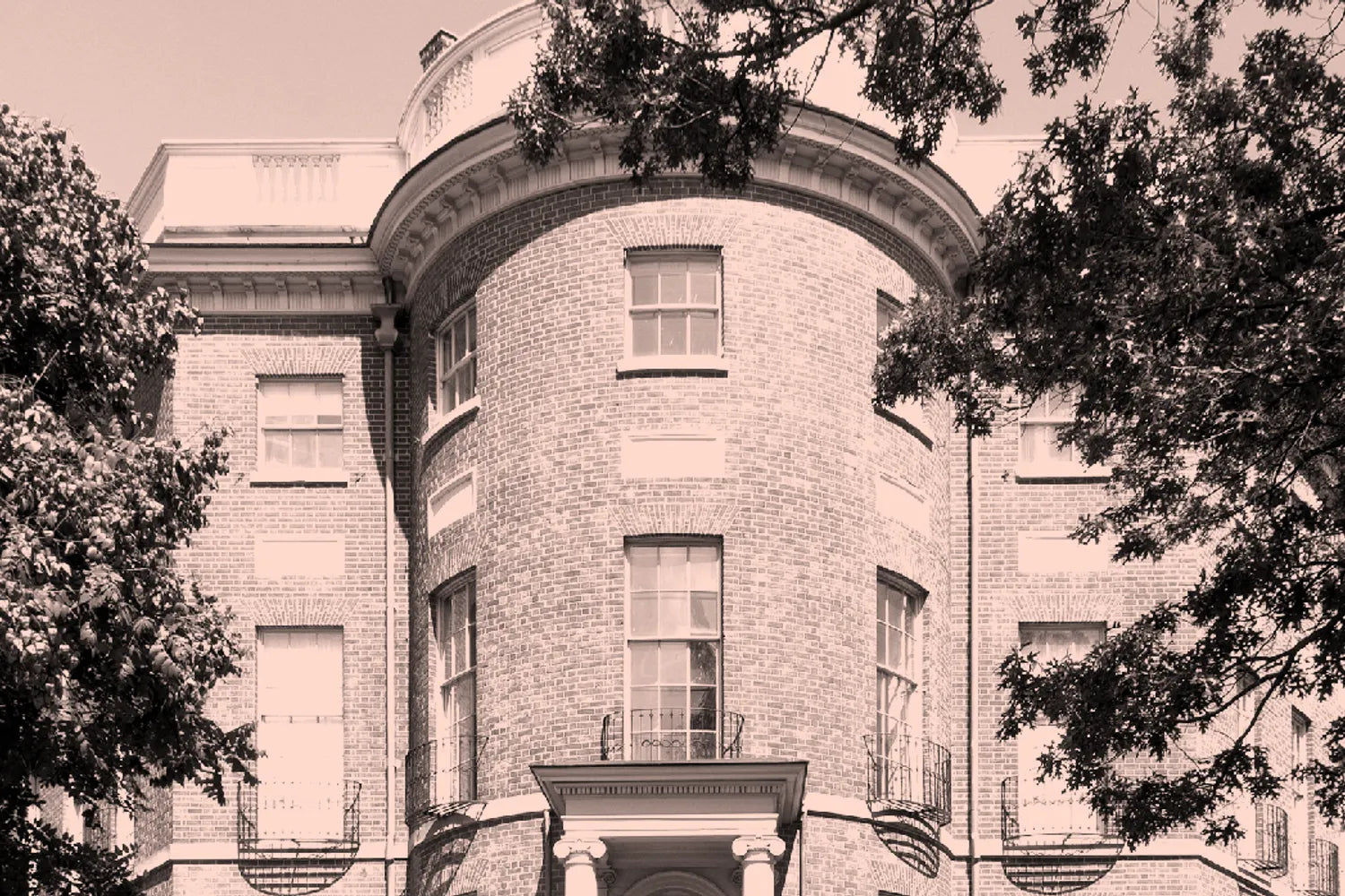 2024 Fireclay Tile Why Diversity Matters Blog Header