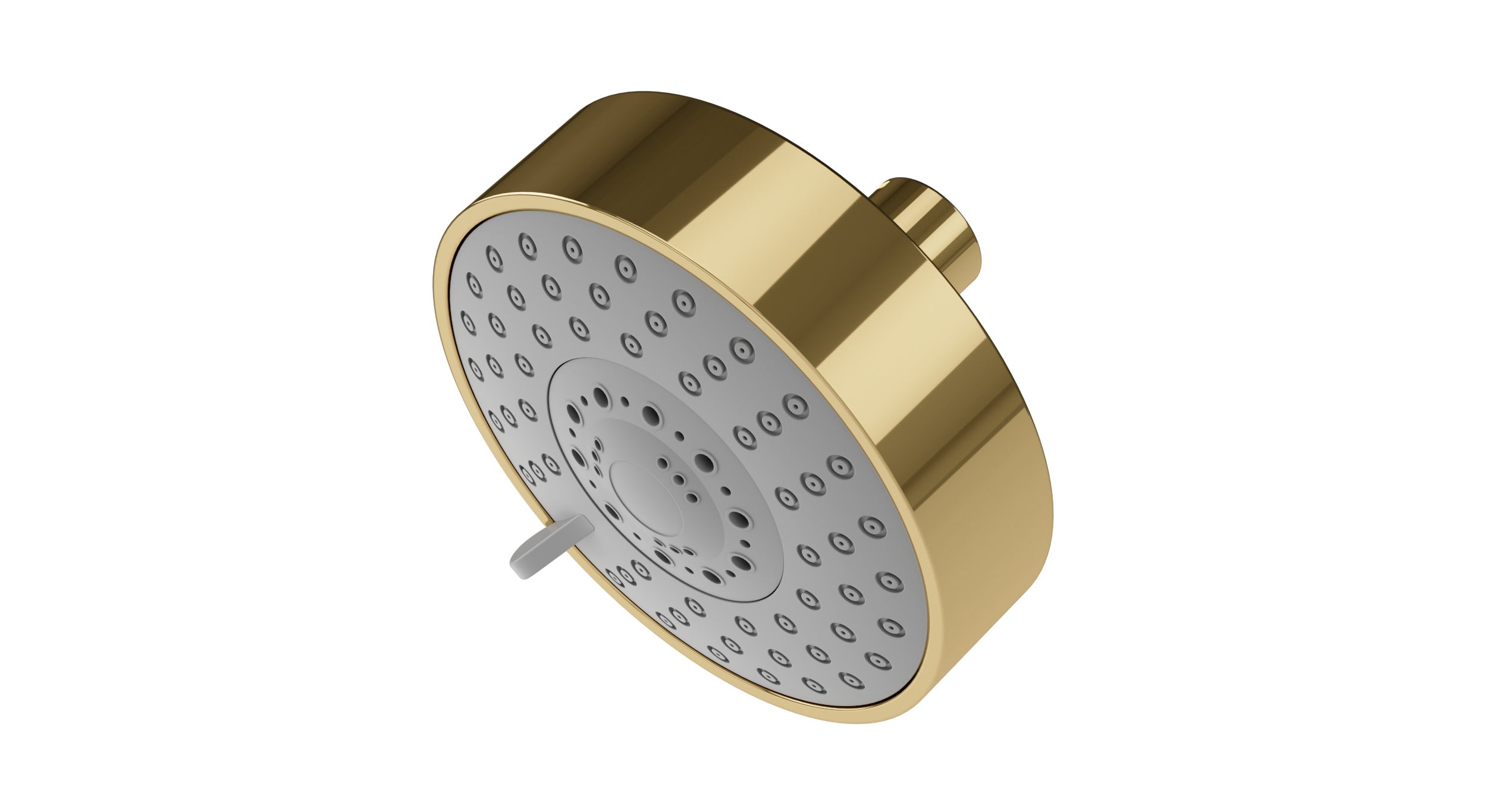 Shower 4.5" Multi-Function Shower Head in Polished Brass