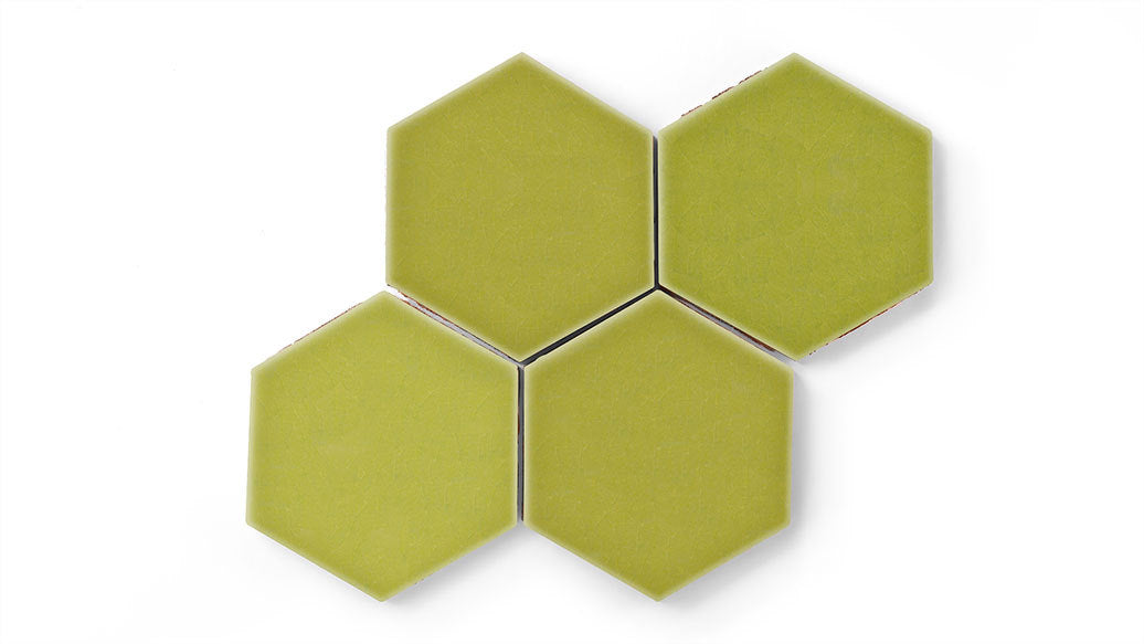 6" Hexagon Original Ceramic Tile in Palm Tree Gloss