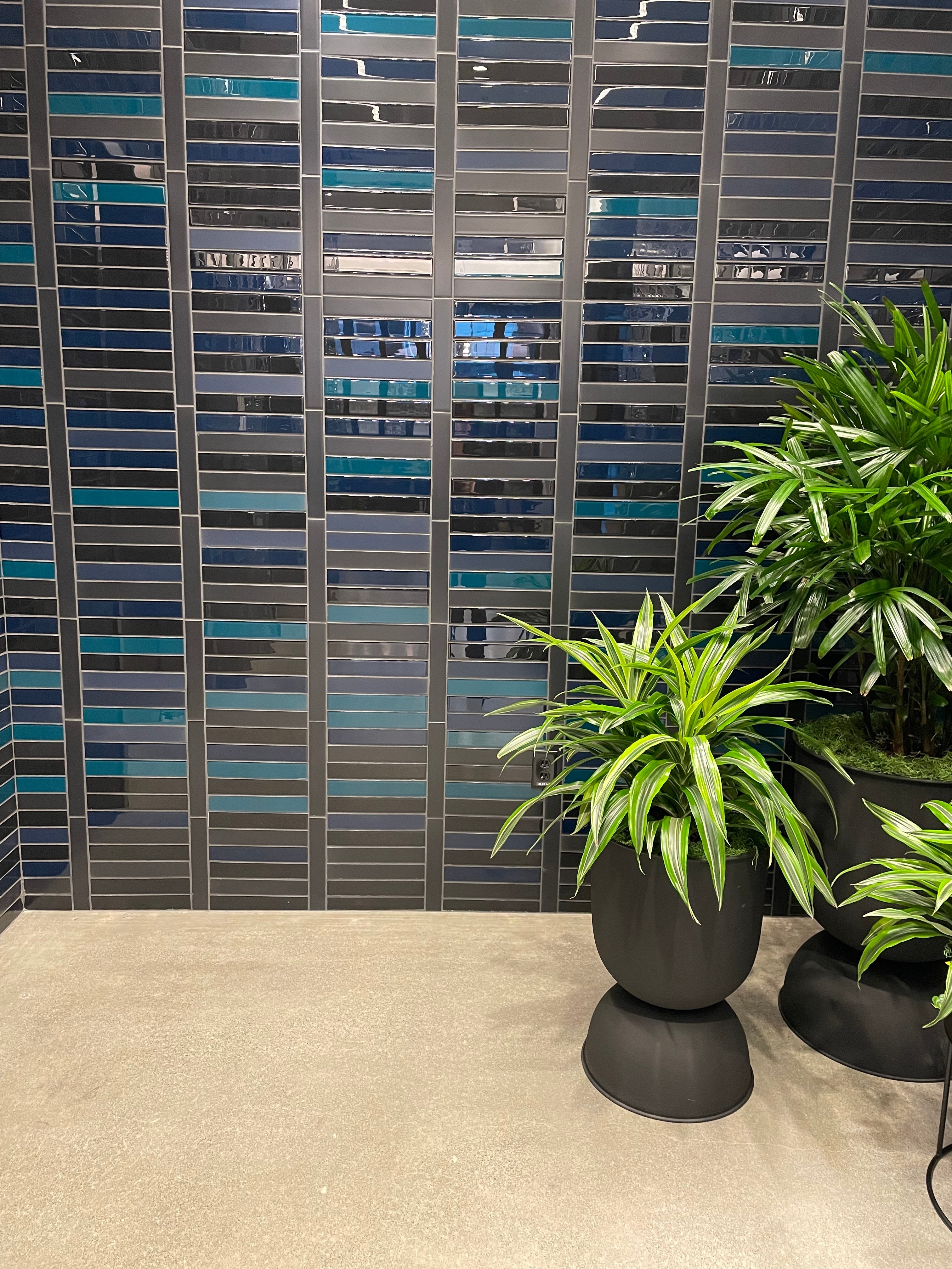 2x12 Glass Tile in Grackle Gloss