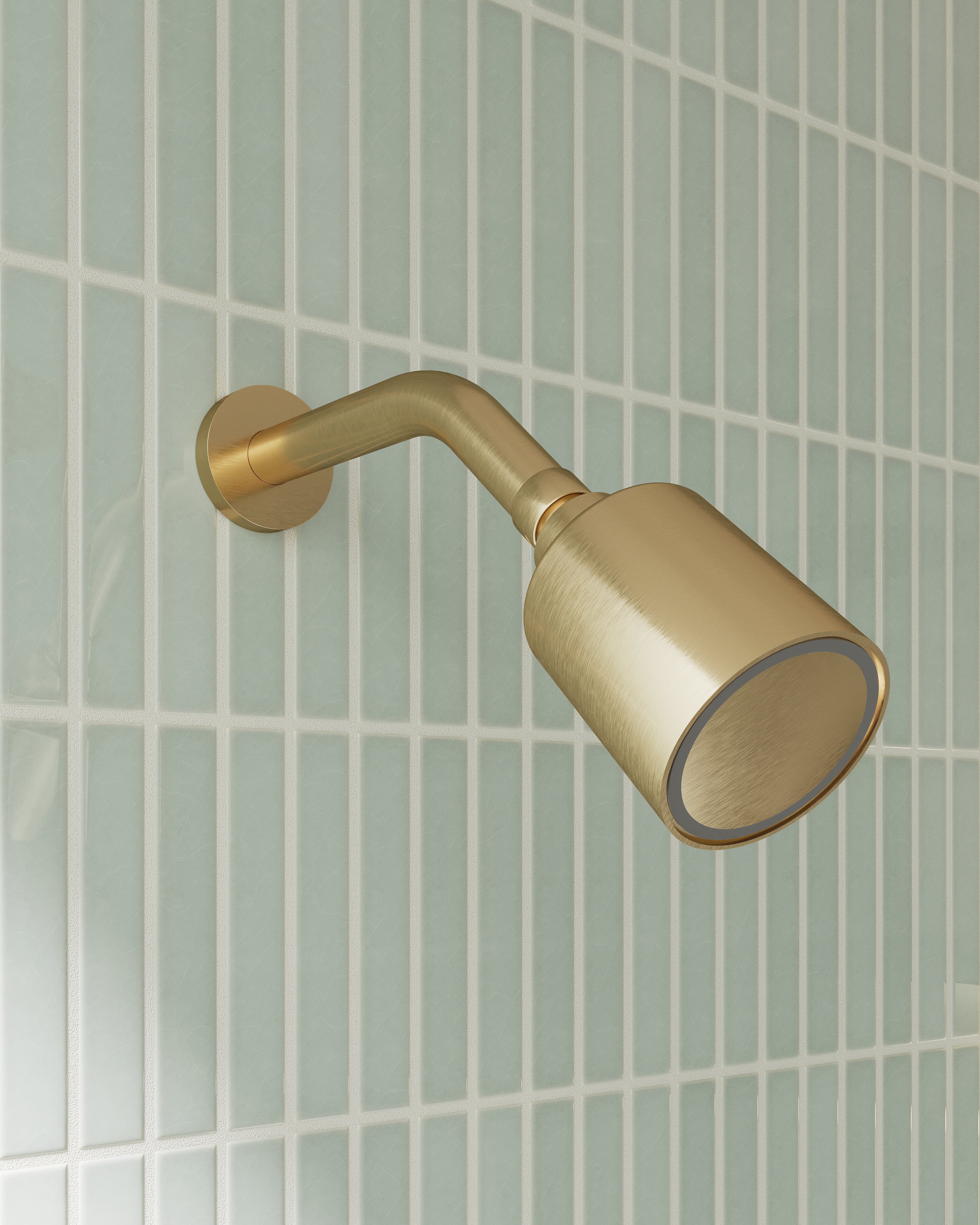 Contour & Foundry Shower Head in Satin Brass