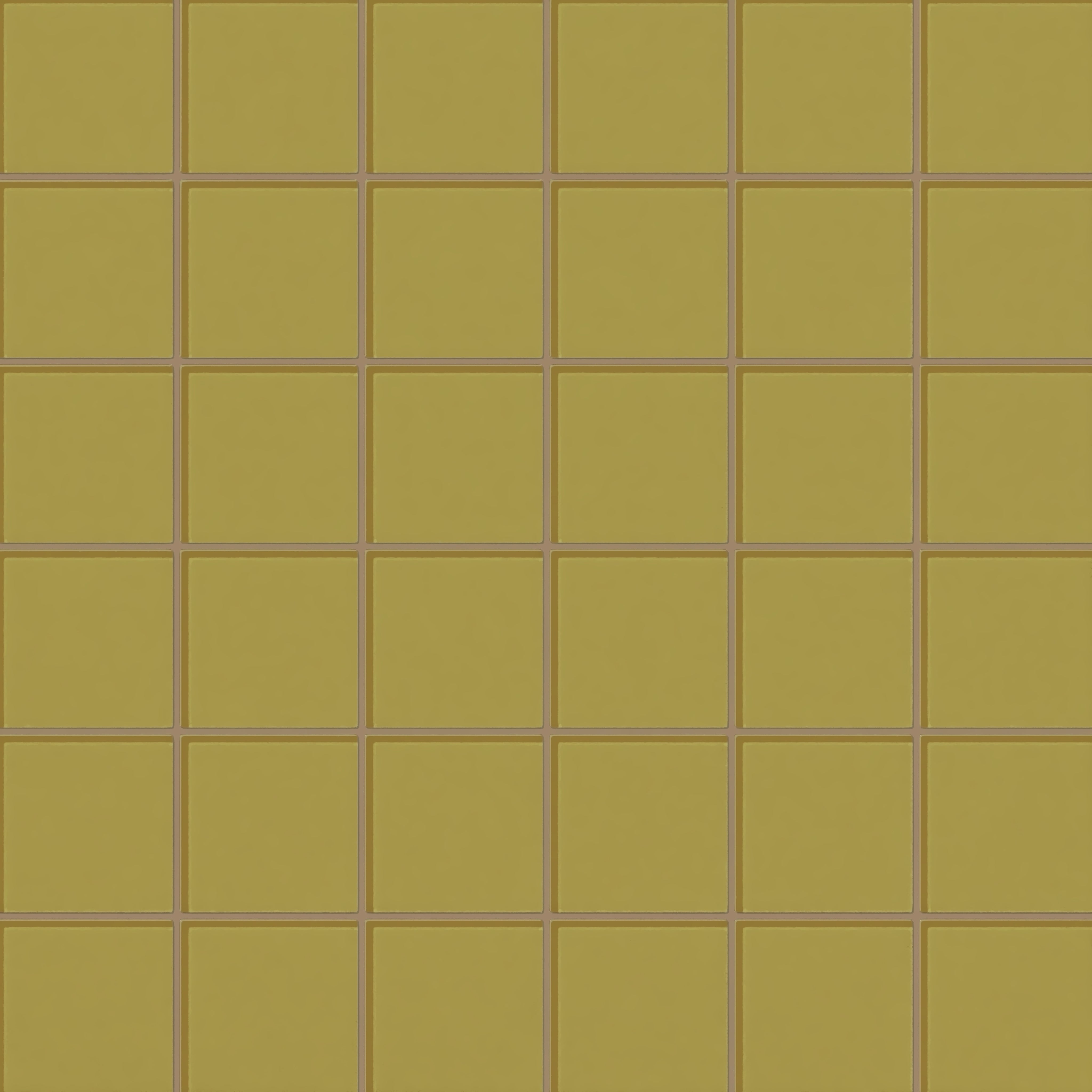 Pine Siskin Gloss