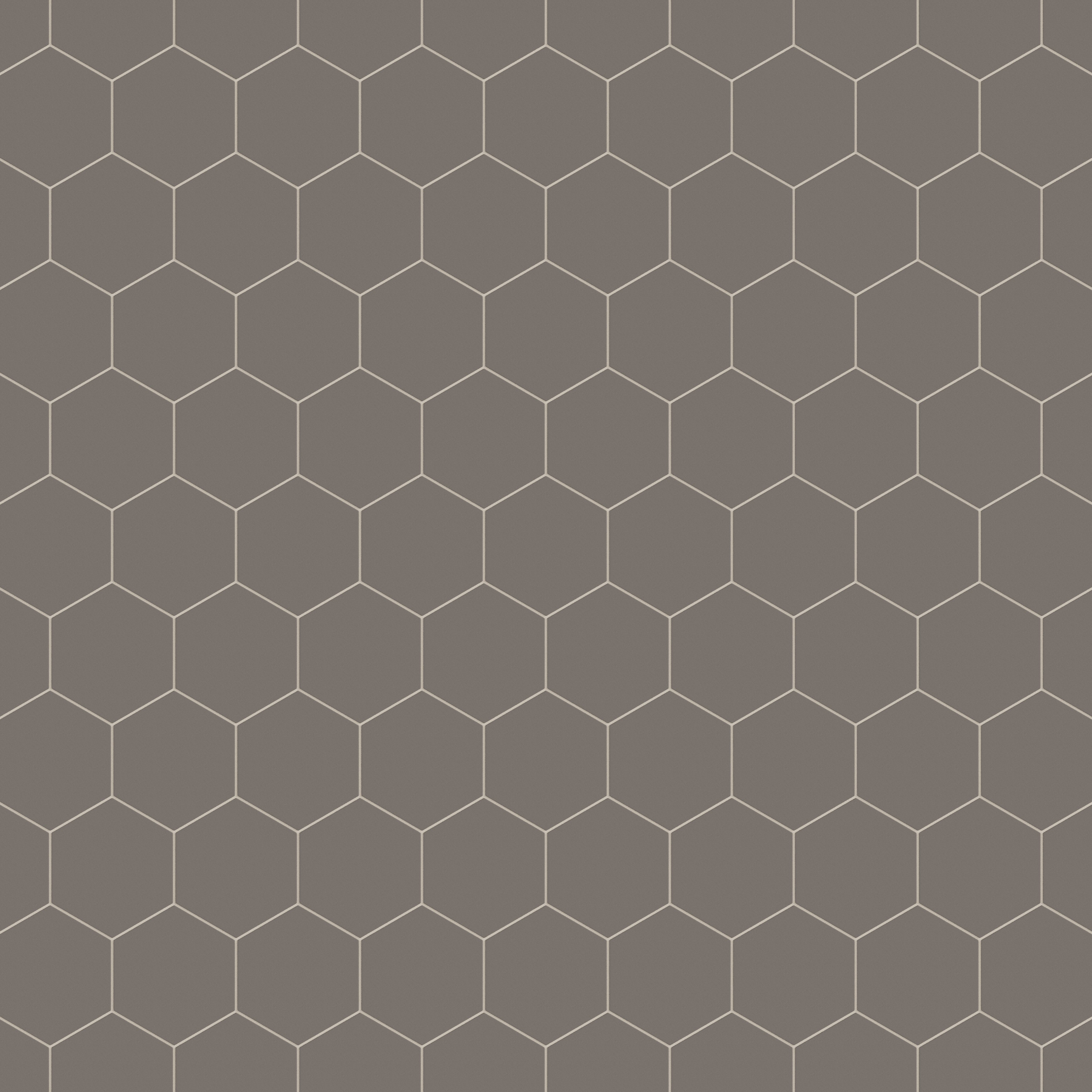 8" Hexagon Natural Press Ceramic Tile in Timberline Matte
