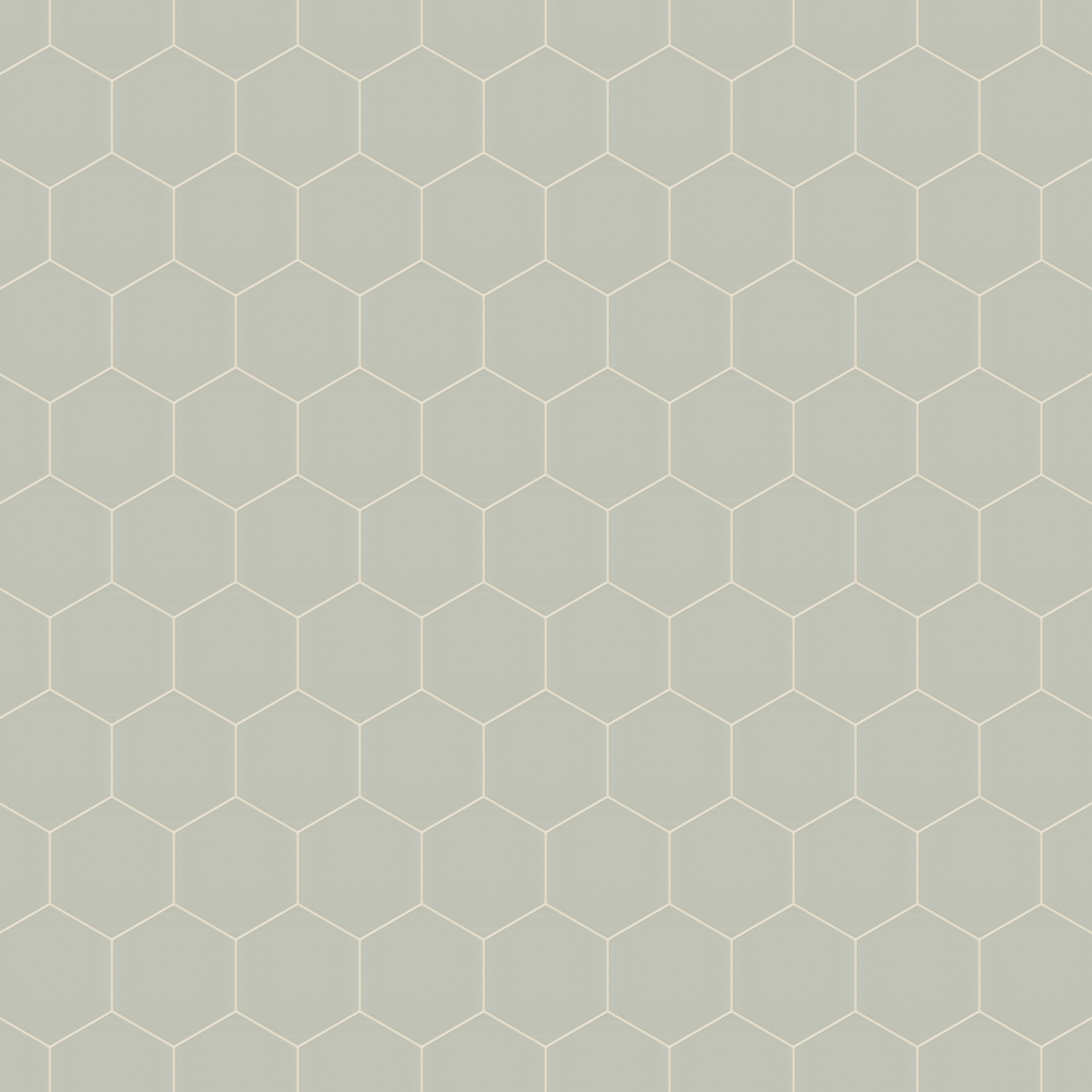 8" Hexagon Natural Press Ceramic Tile in Manzanita Matte