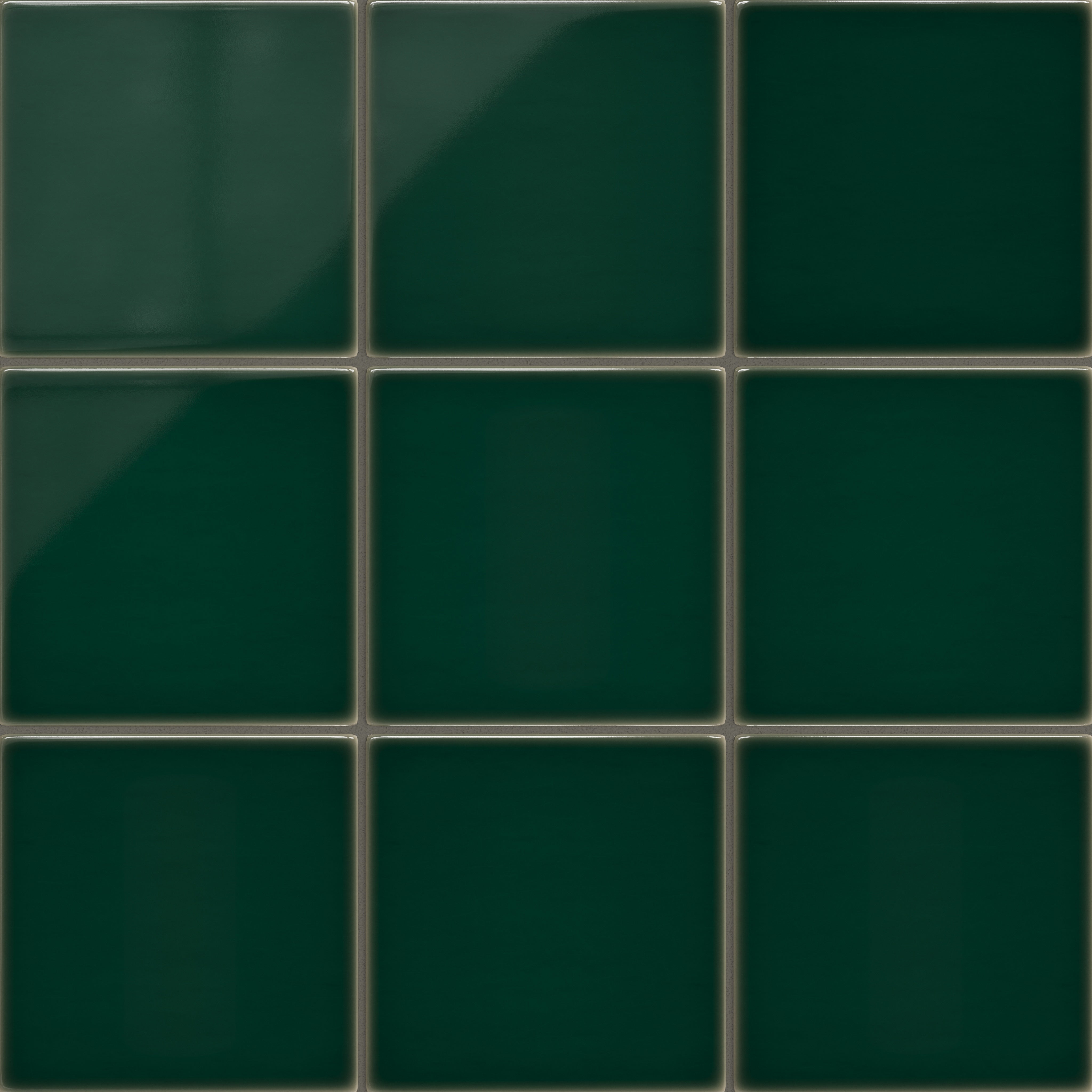 Evergreen Gloss