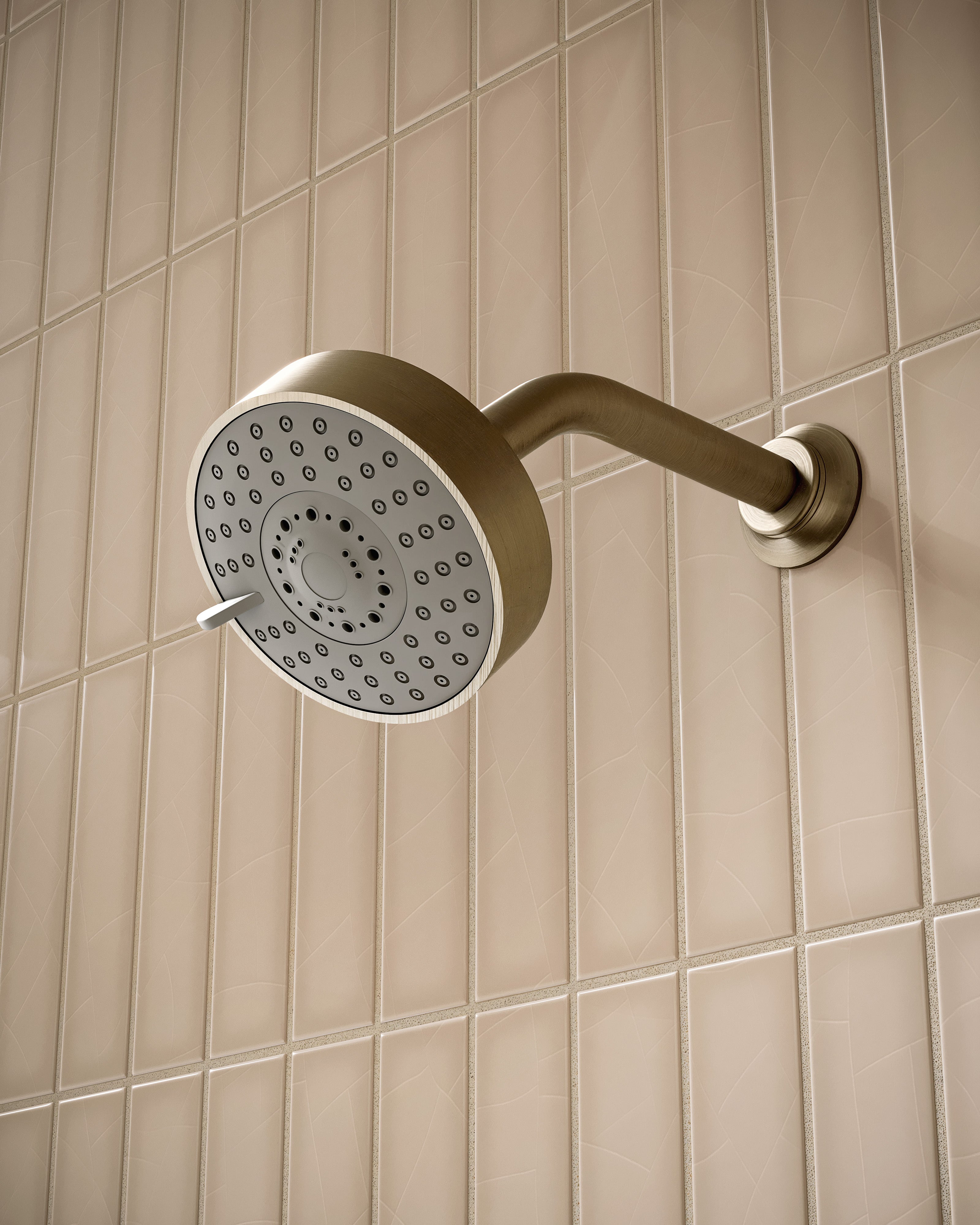 Shower 4.5" Multi-Function Shower Head in Antique Brass