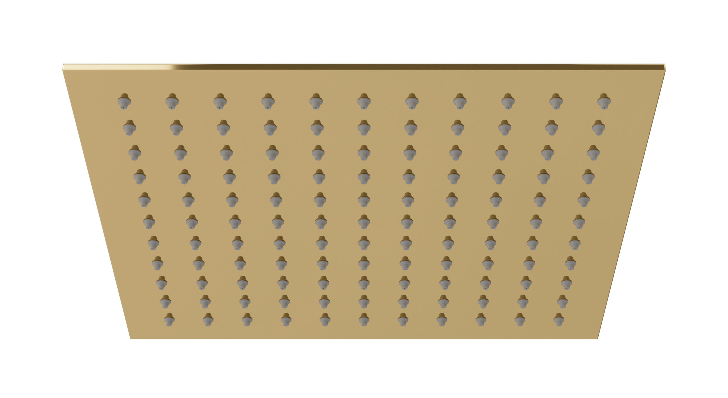 Flatiron 12" Shower Head in Polished Brass