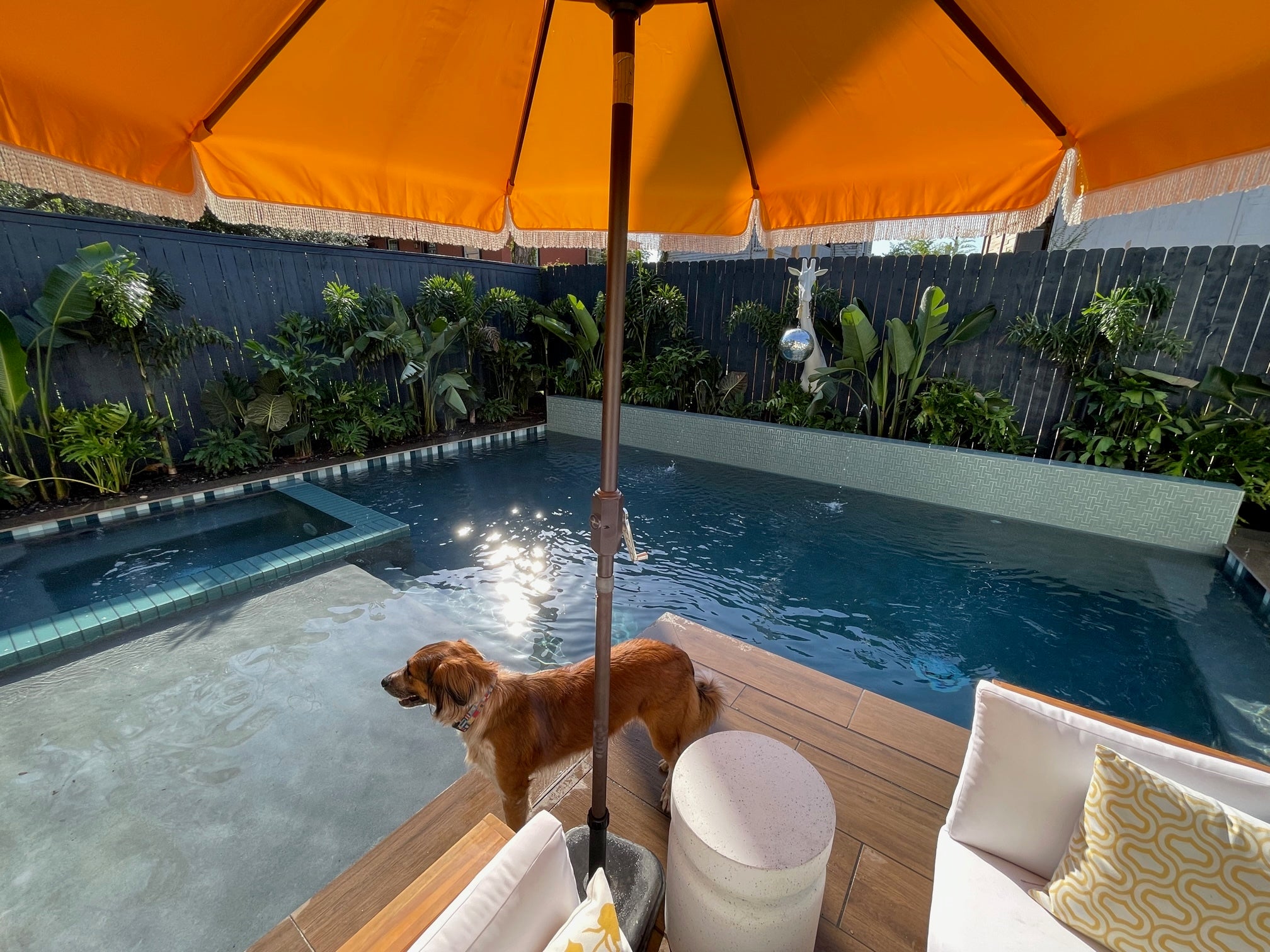 3x6 Glass Tile in Great Blue Heron Gloss