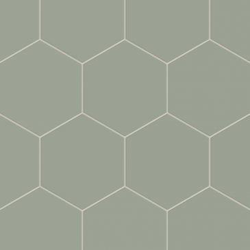 8" Hexagon Natural Press Ceramic Tile in Terre Verte Matte