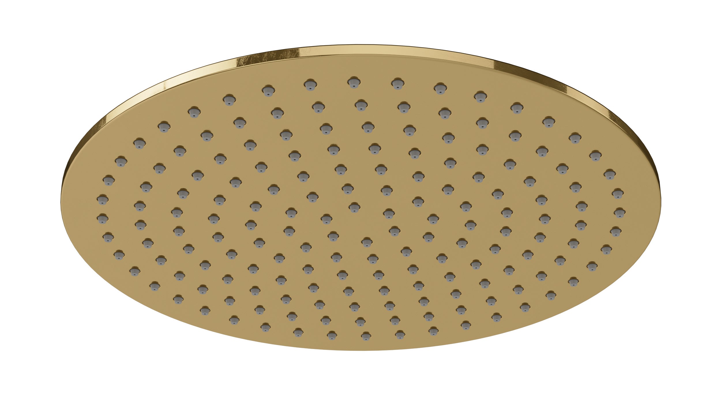 Shower 12" Flat Shower Head in Uncoated Polished Brass