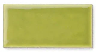 Palm Tree Gloss