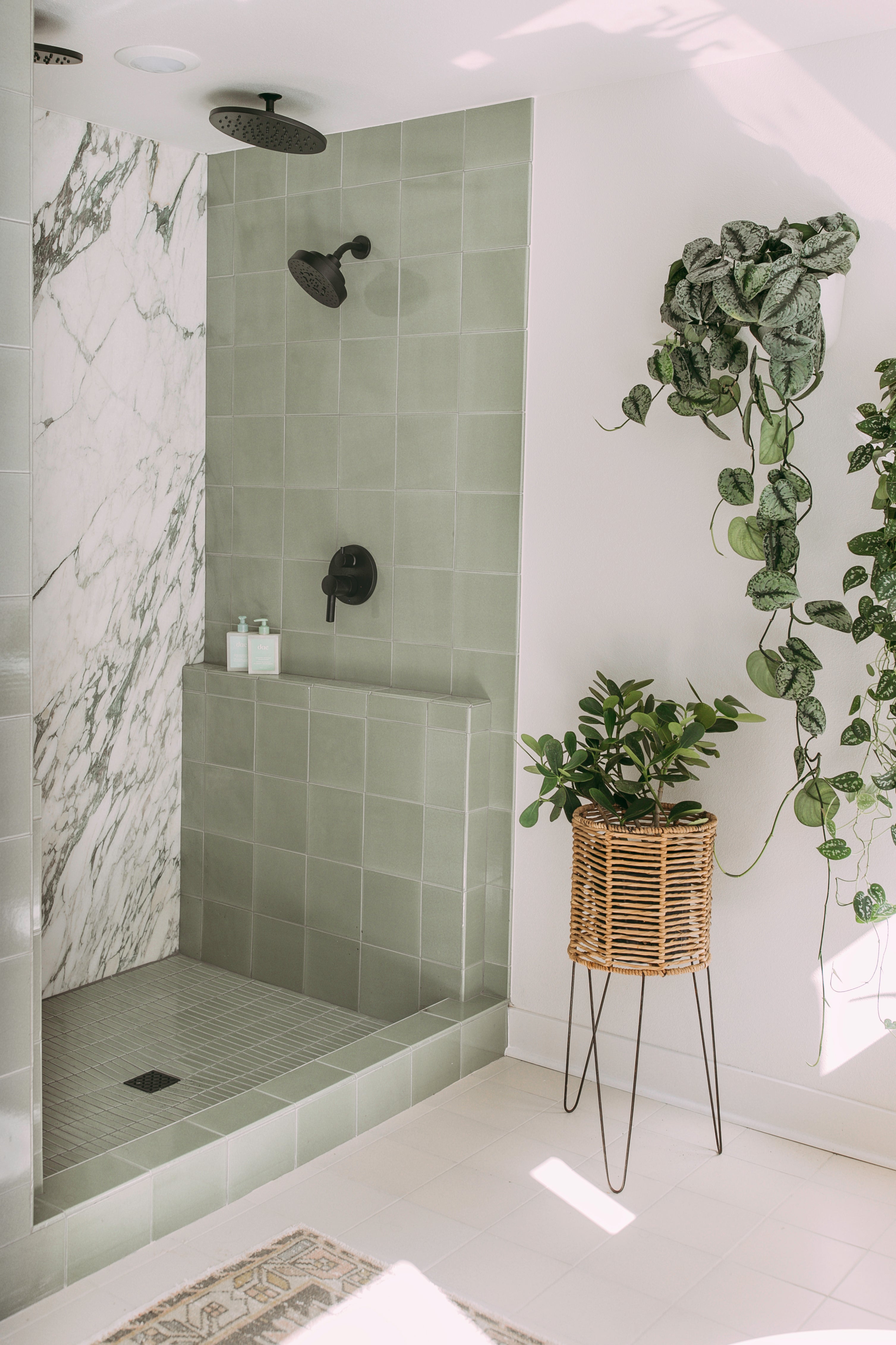 8x8 Original Ceramic Tile in Rosemary Gloss