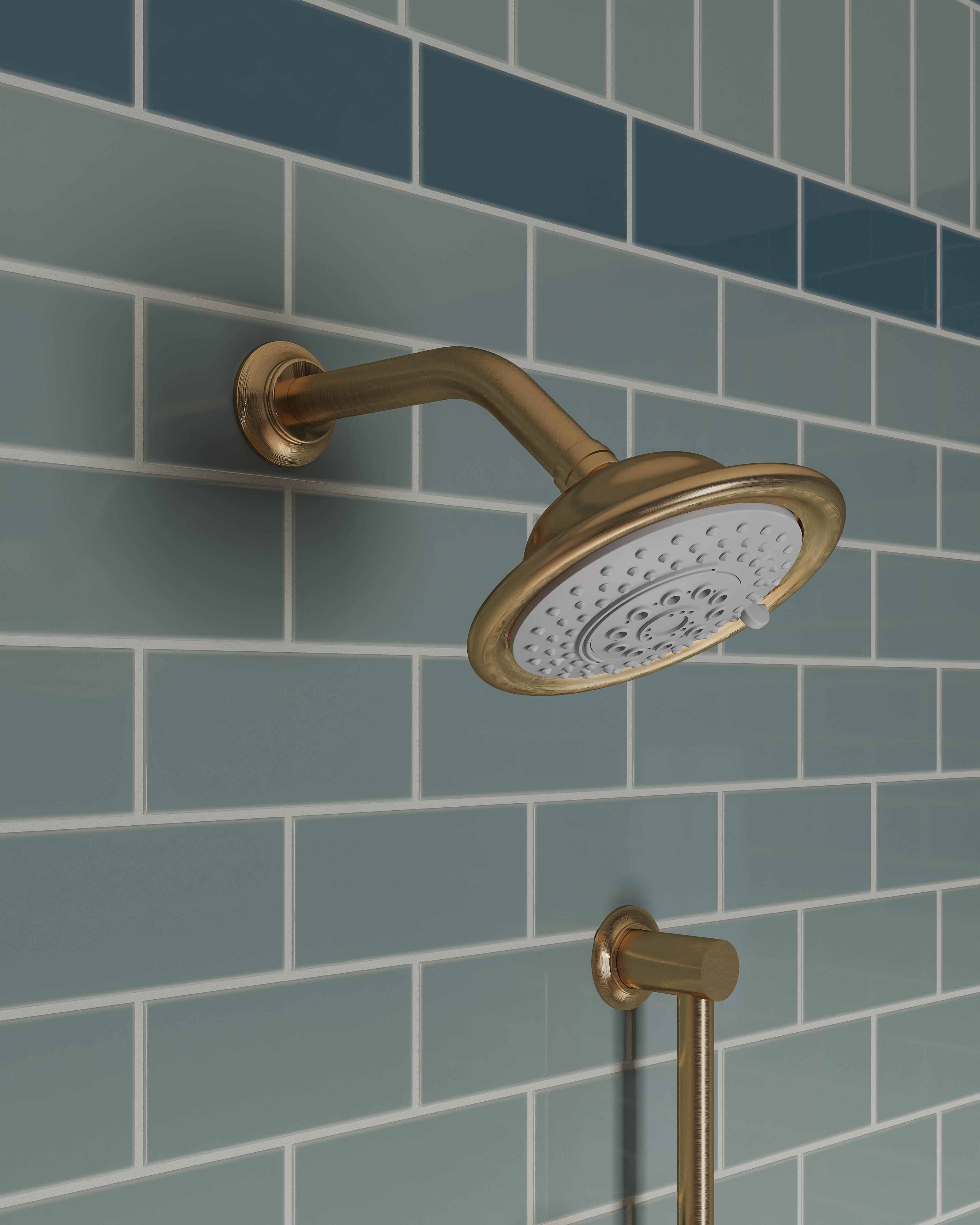 Shower Traditional Multi-Function Shower Head in Satin Brass