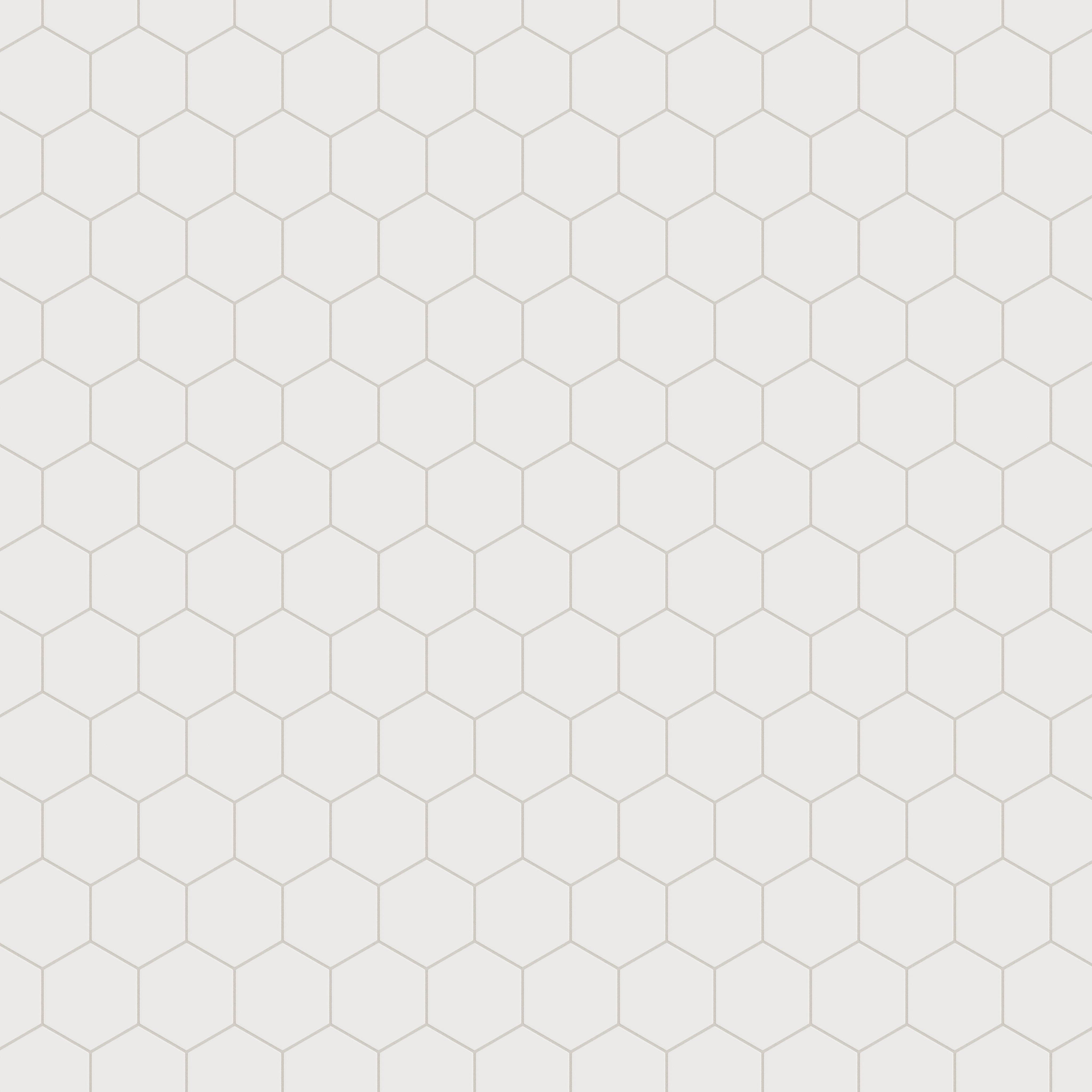 6" Hexagon Original Ceramic Tile in Calcite Matte