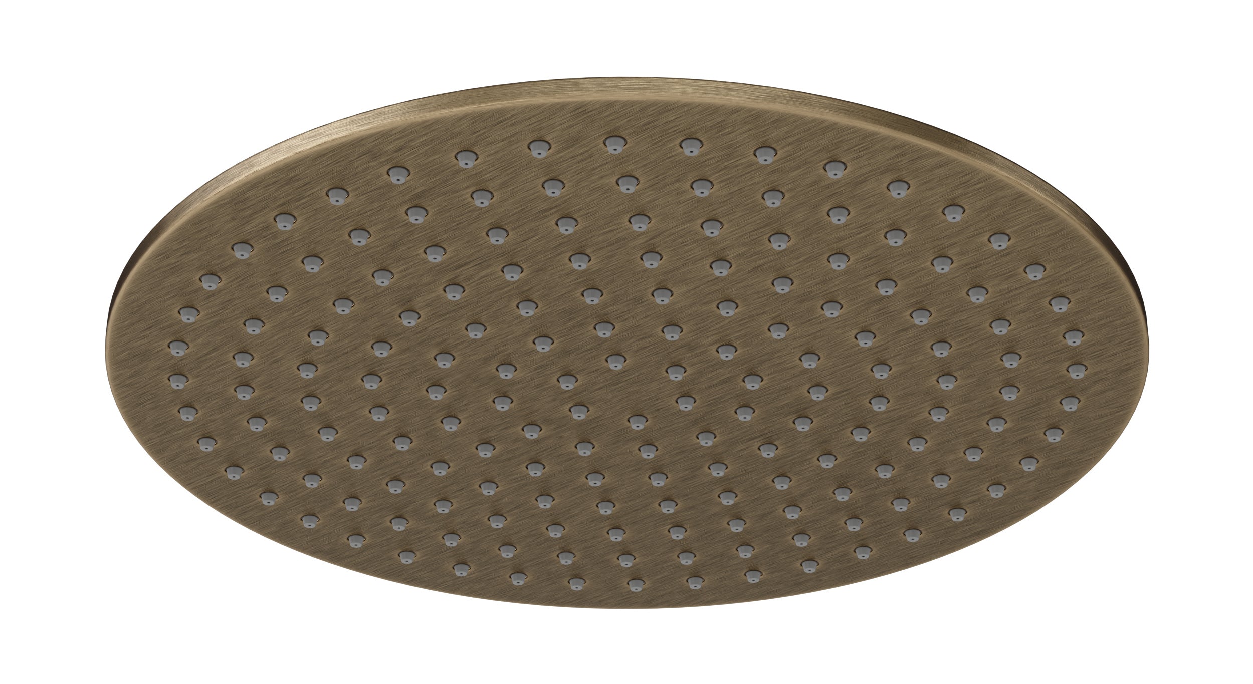 Shower 12" Flat Shower Head in Antique Brass