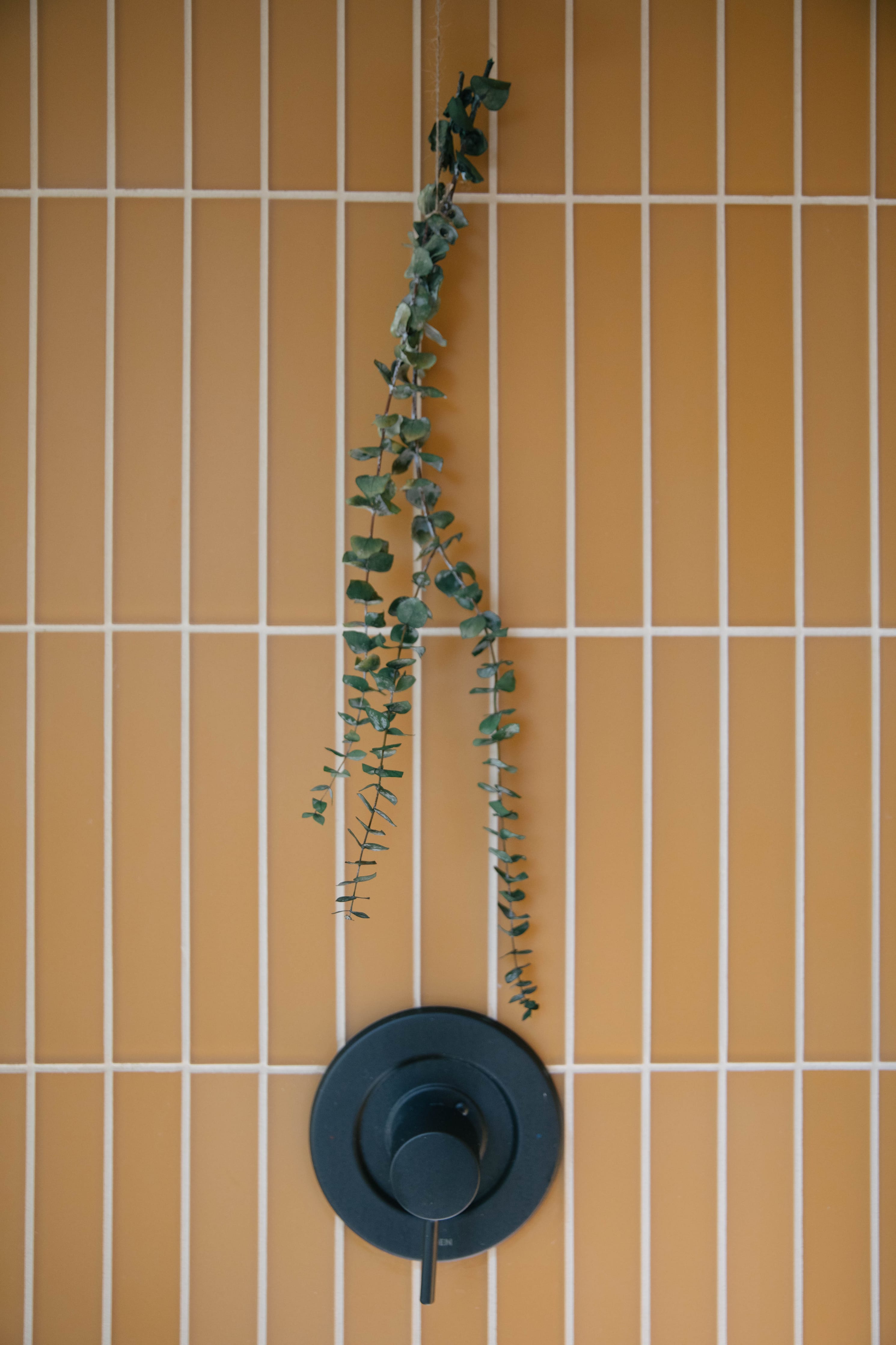 2x12 Glass Tile in Falcon Matte