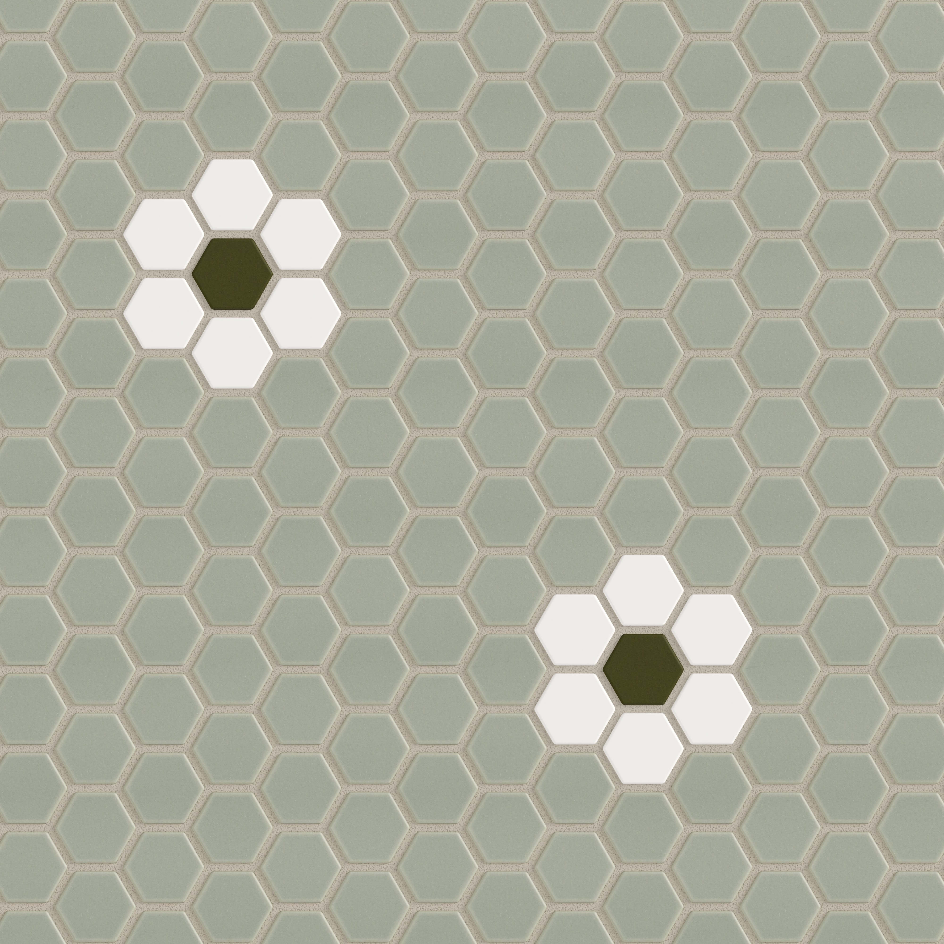 Daisy Sample Kit in Rosemary, Calcite & Bonsai Matte