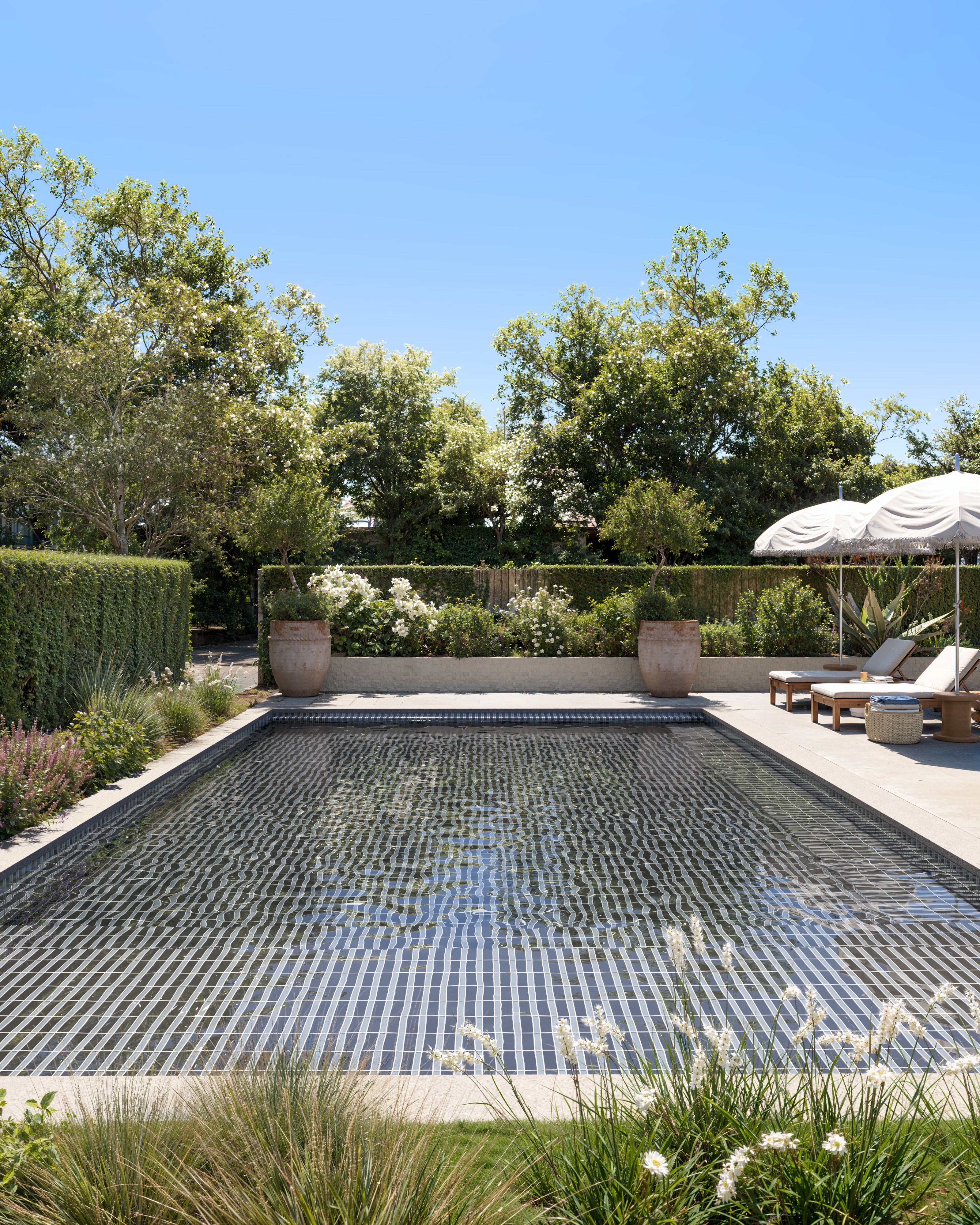 2x6 Glass Tile in Junco Gloss