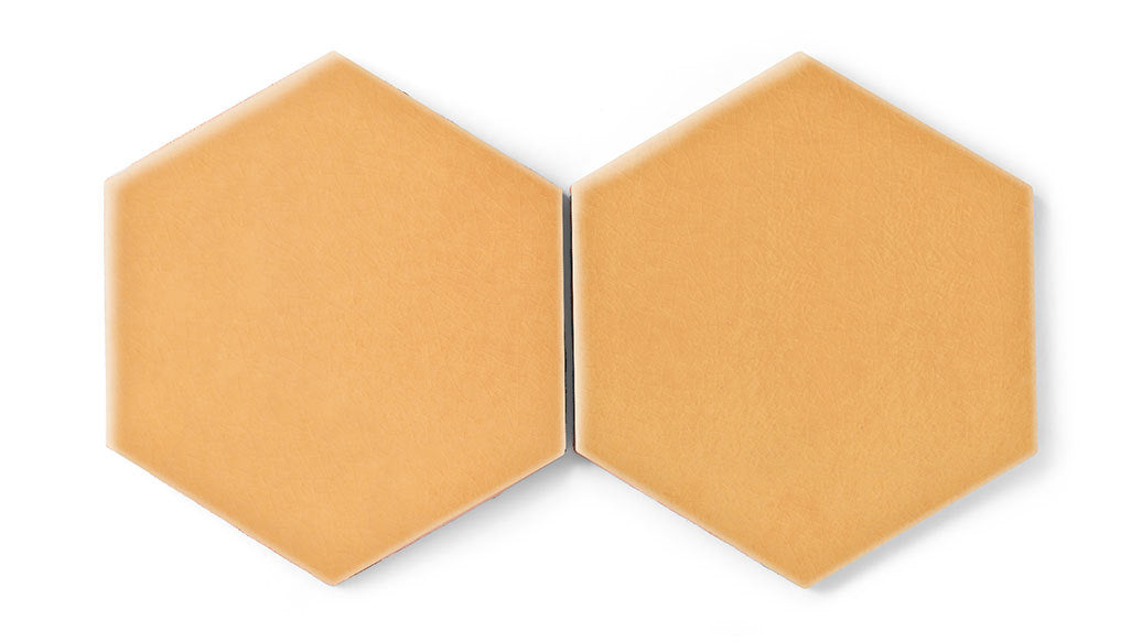 8" Hexagon Original Ceramic Tile in Koi Gloss