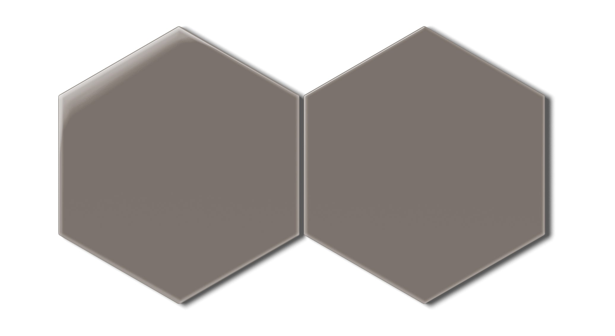 8" Hexagon Natural Press Ceramic Tile in Timberline Gloss