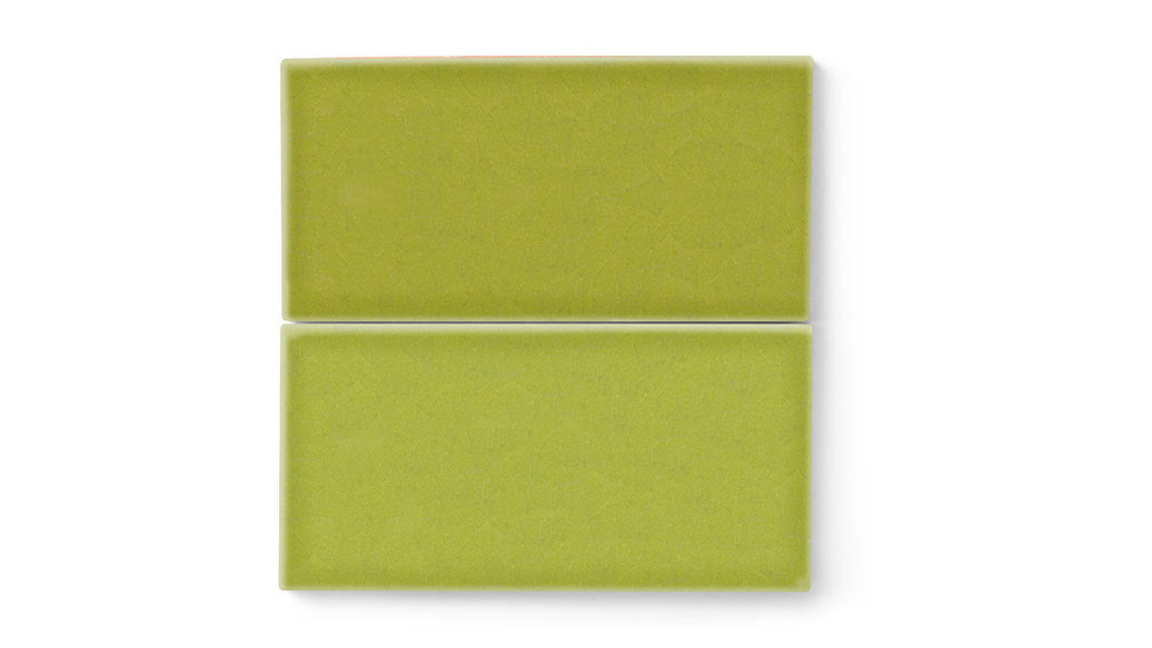 6x12 Original Ceramic Tile in Palm Tree Gloss