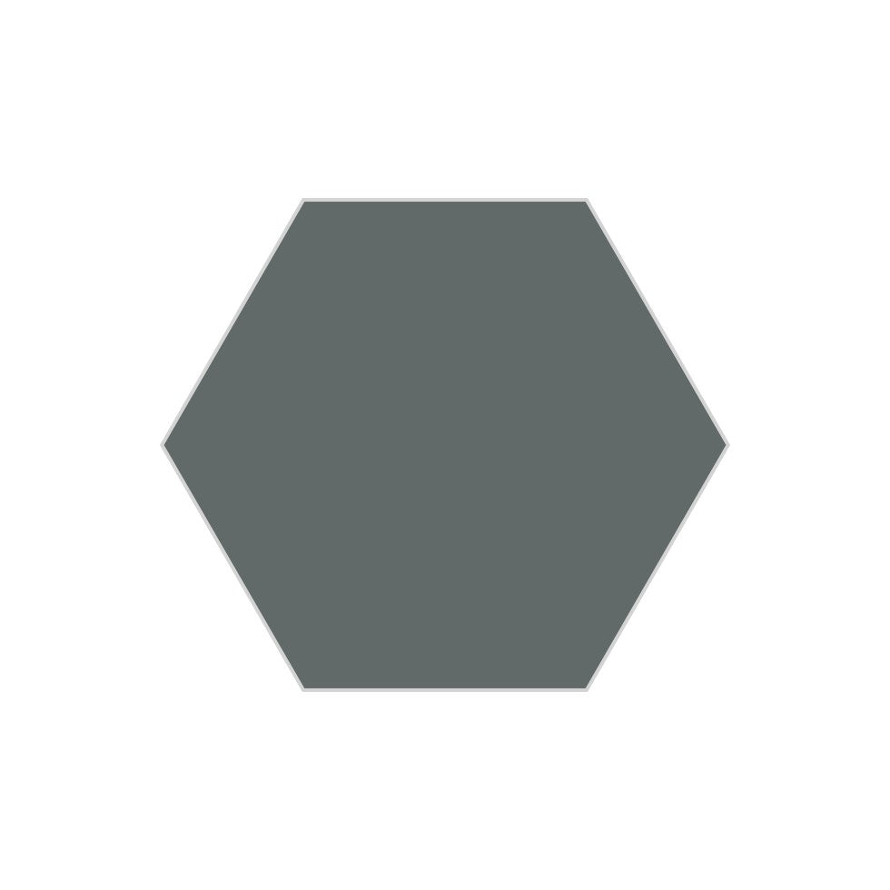 8" Hexagon Original Ceramic Tile in Flagstone Gloss