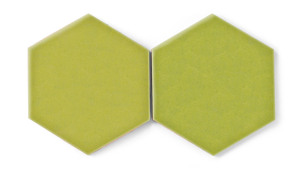 8" Hexagon Original Ceramic Tile in Palm Tree Gloss