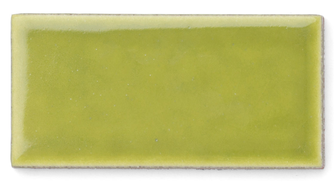 2x4 Sample in Palm Tree Gloss