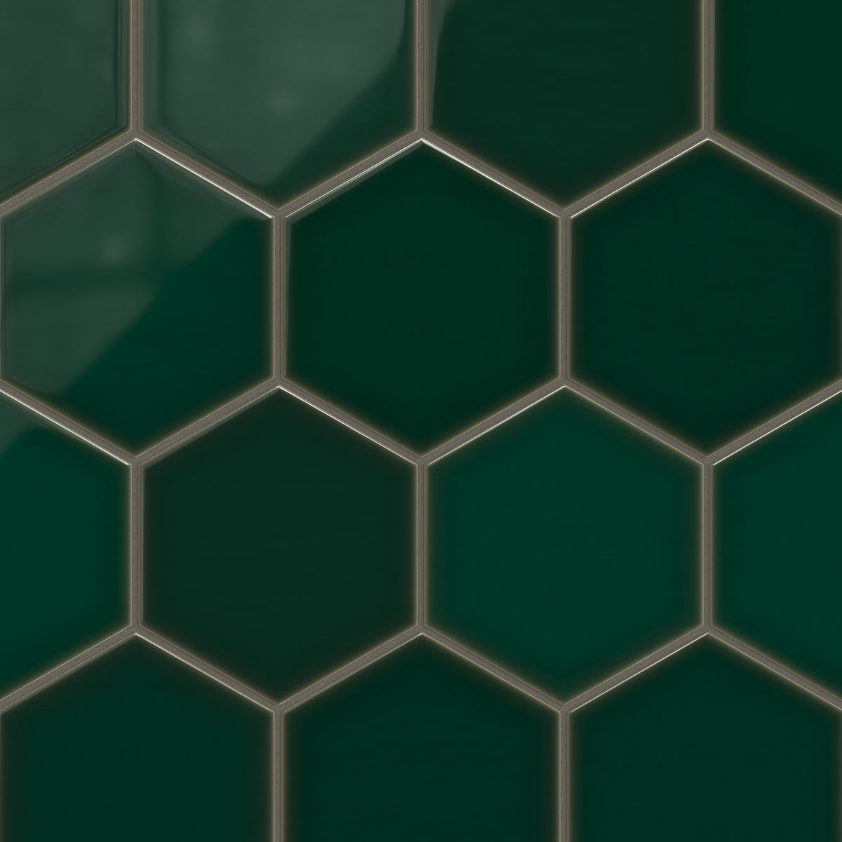 Evergreen Gloss