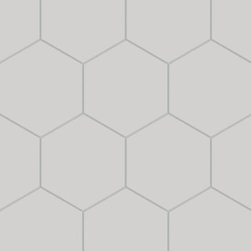 8" Hexagon Natural Press Ceramic Tile in Cloud Cover Matte