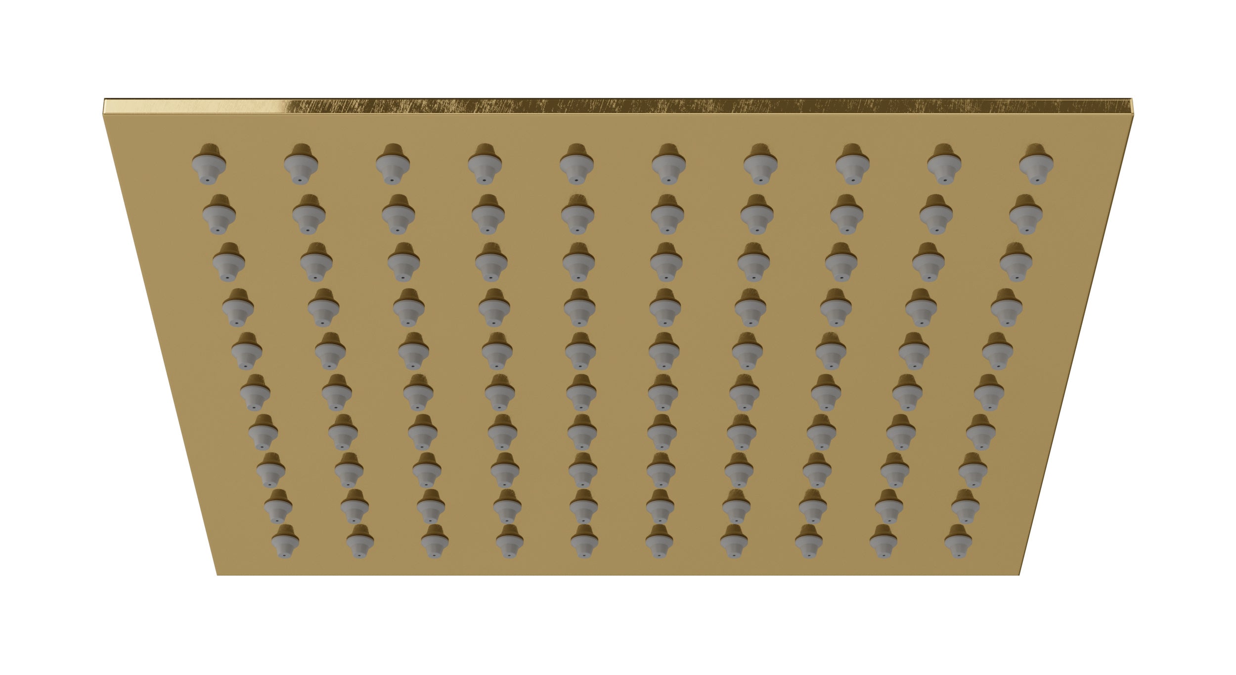 Flatiron 8" Shower Head in Uncoated Polished Brass