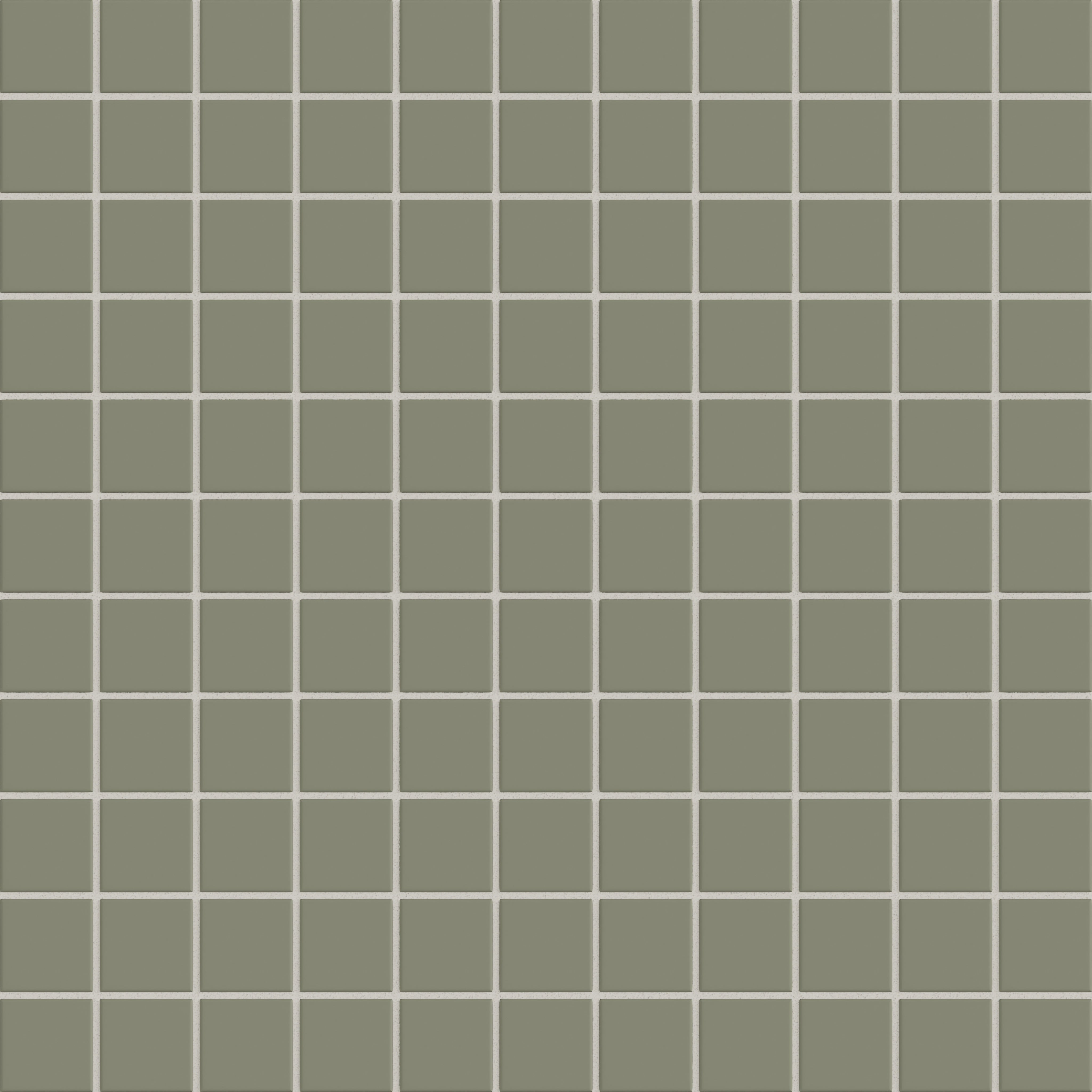 Fern Matte