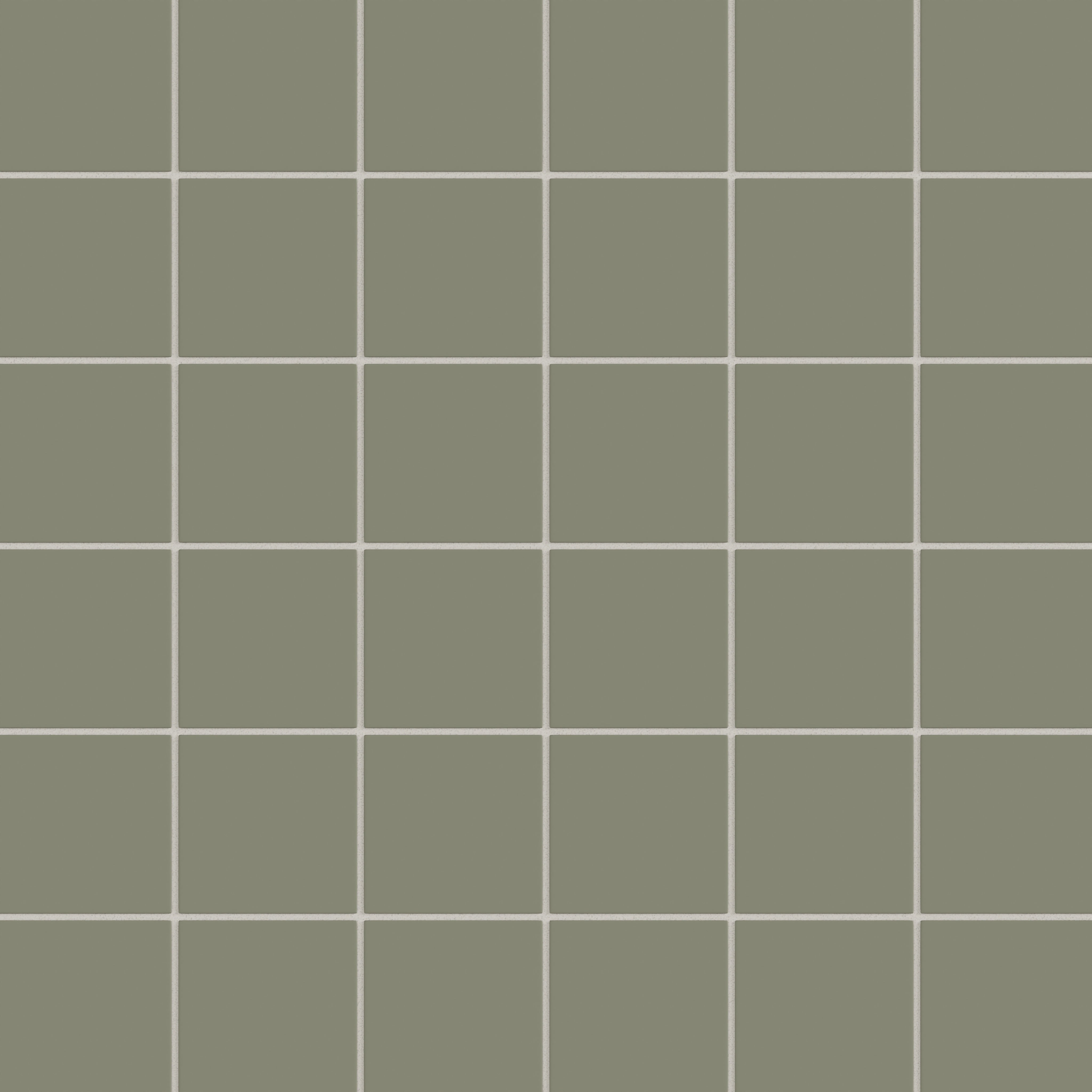 Fern Matte