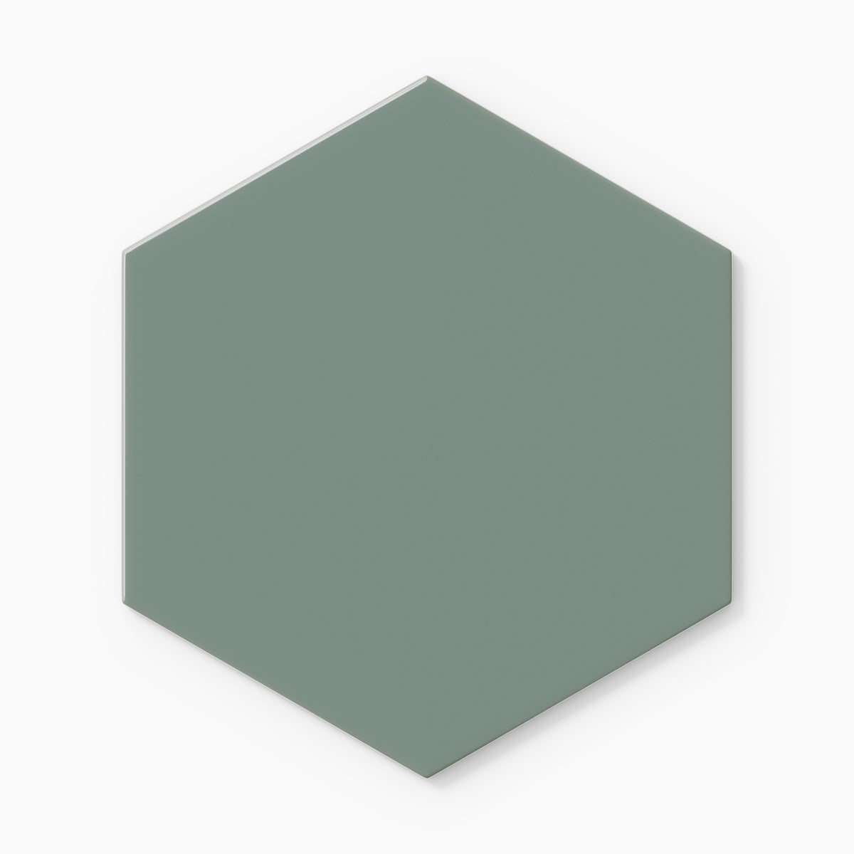 8" Hexagon Original Ceramic Tile in Flagstone Gloss