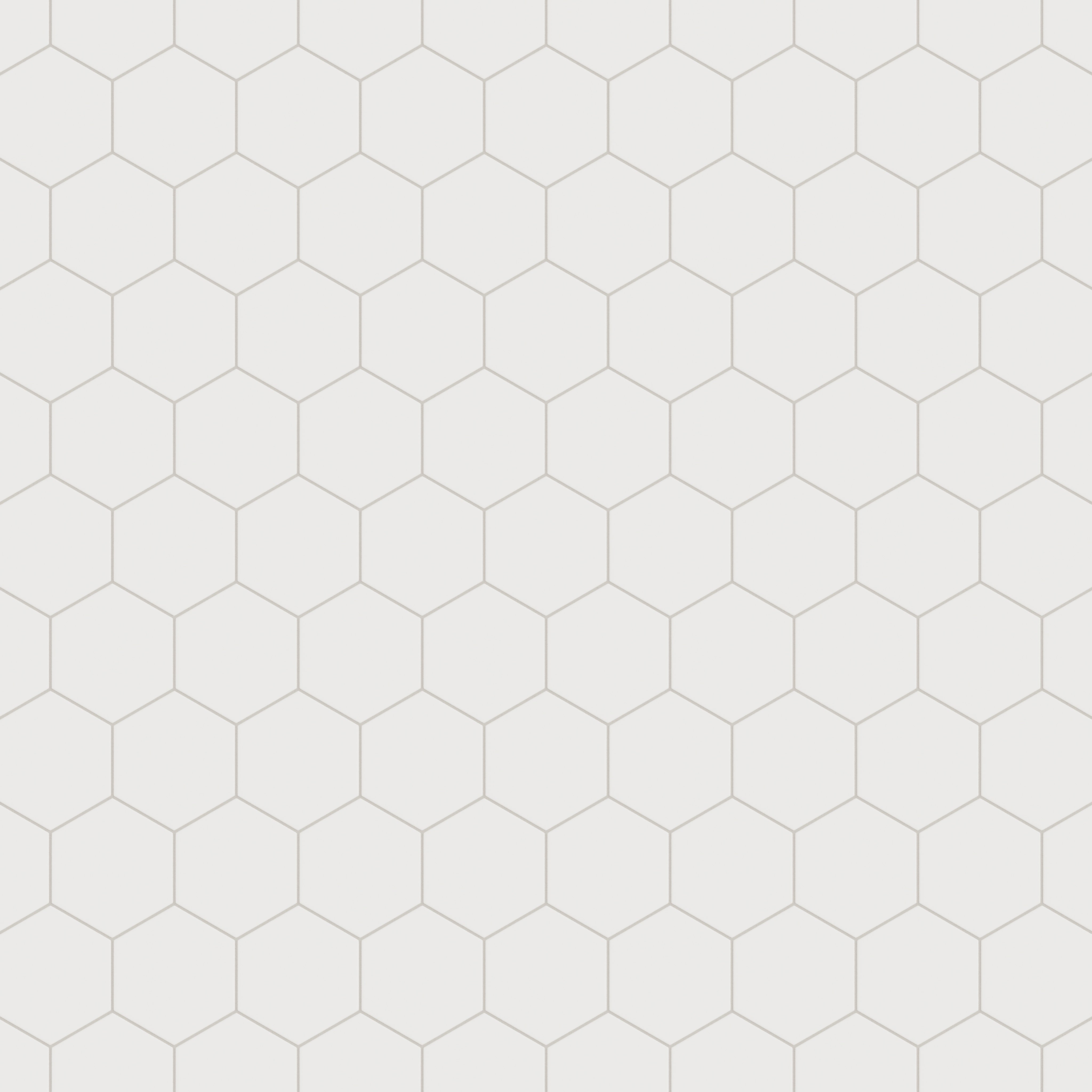 8" Hexagon Original Ceramic Tile in Frost Matte