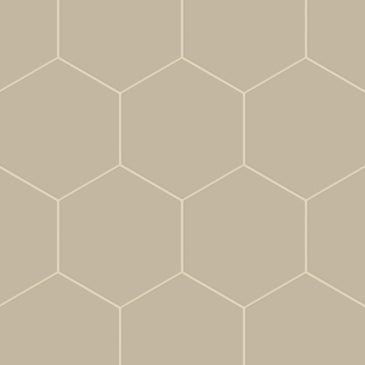 8" Hexagon Natural Press Ceramic Tile in Morel Matte