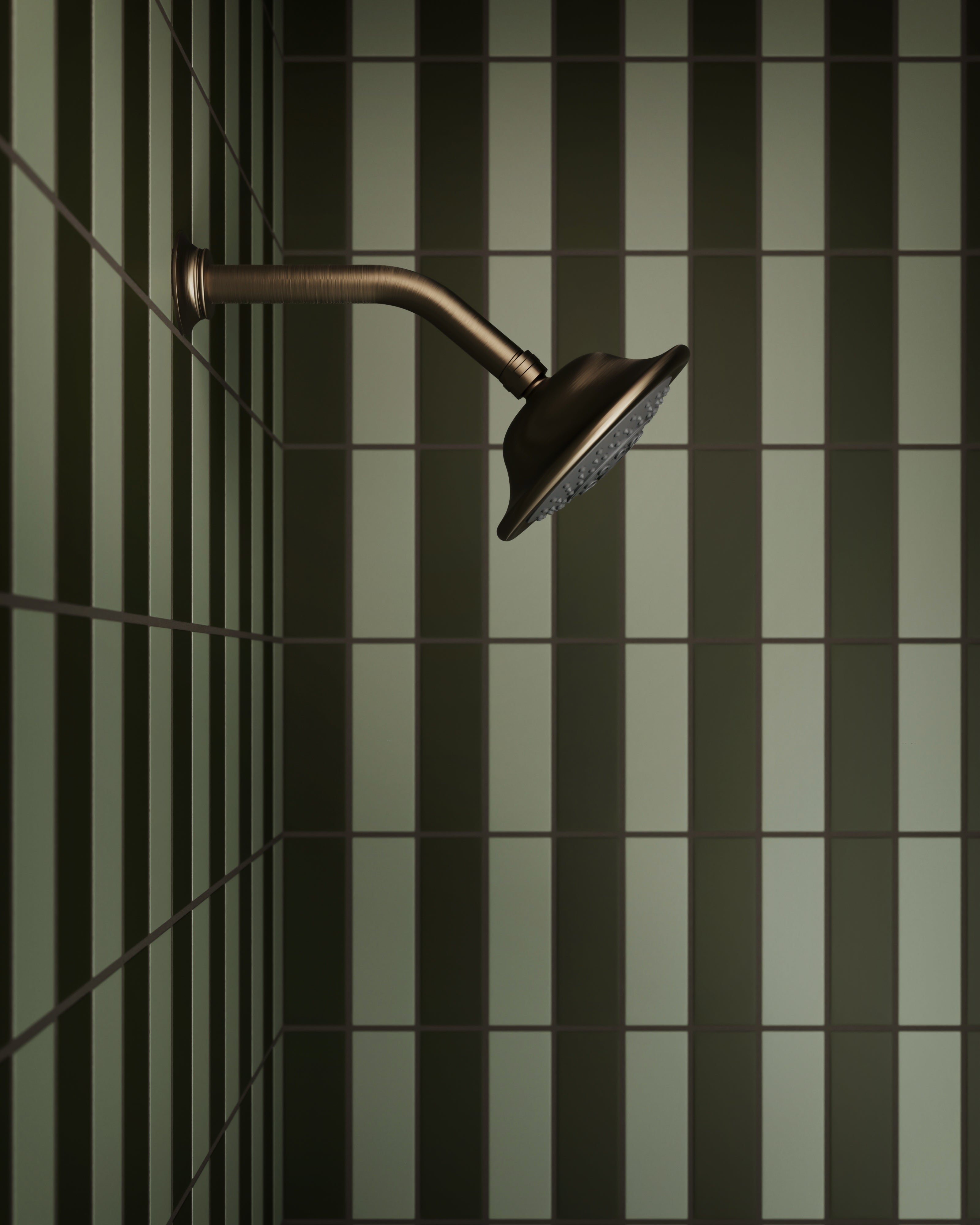 Shower Traditional Multi-Function Shower Head in Antique Brass