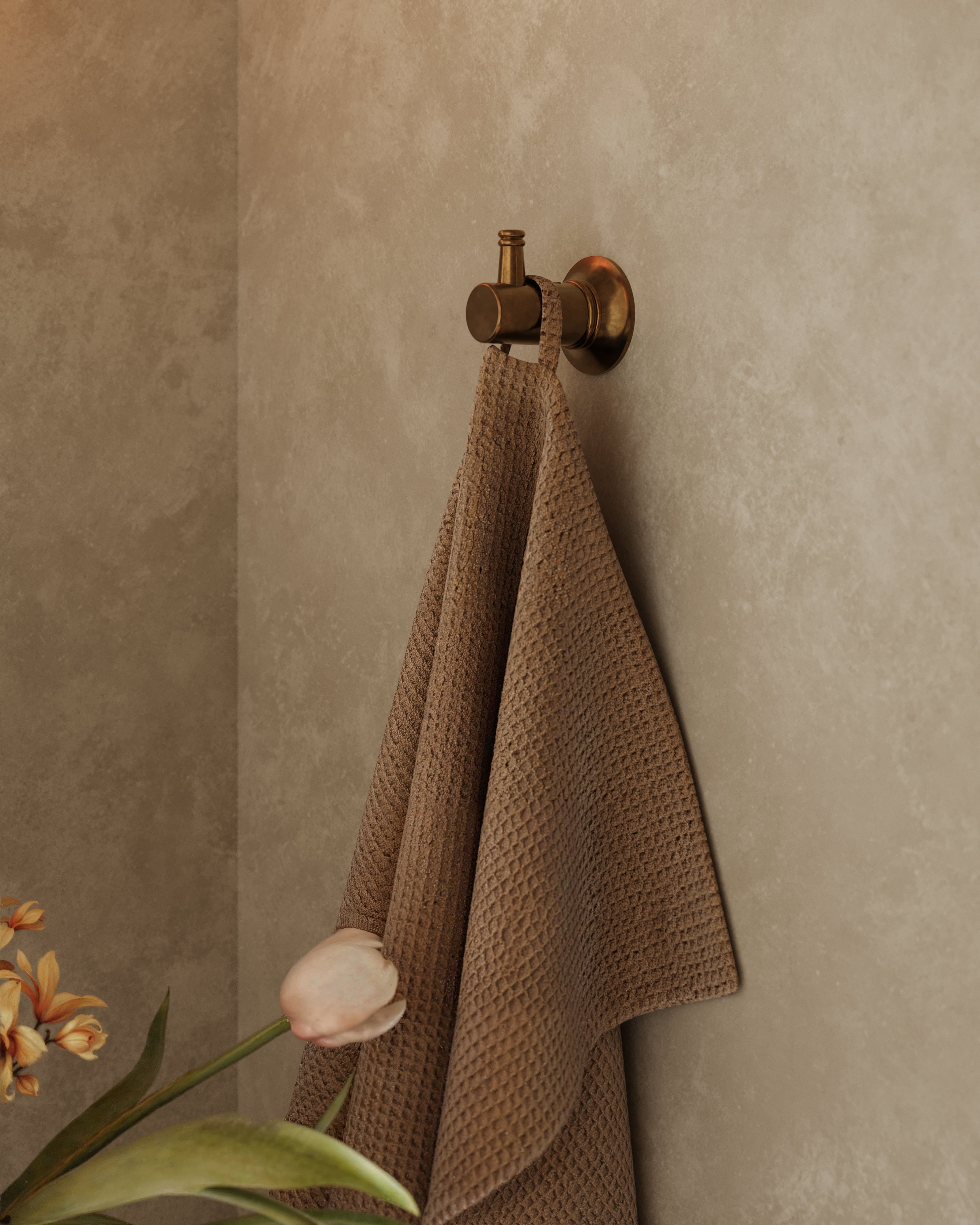 Emerson Robe Hook in Uncoated Polished Brass