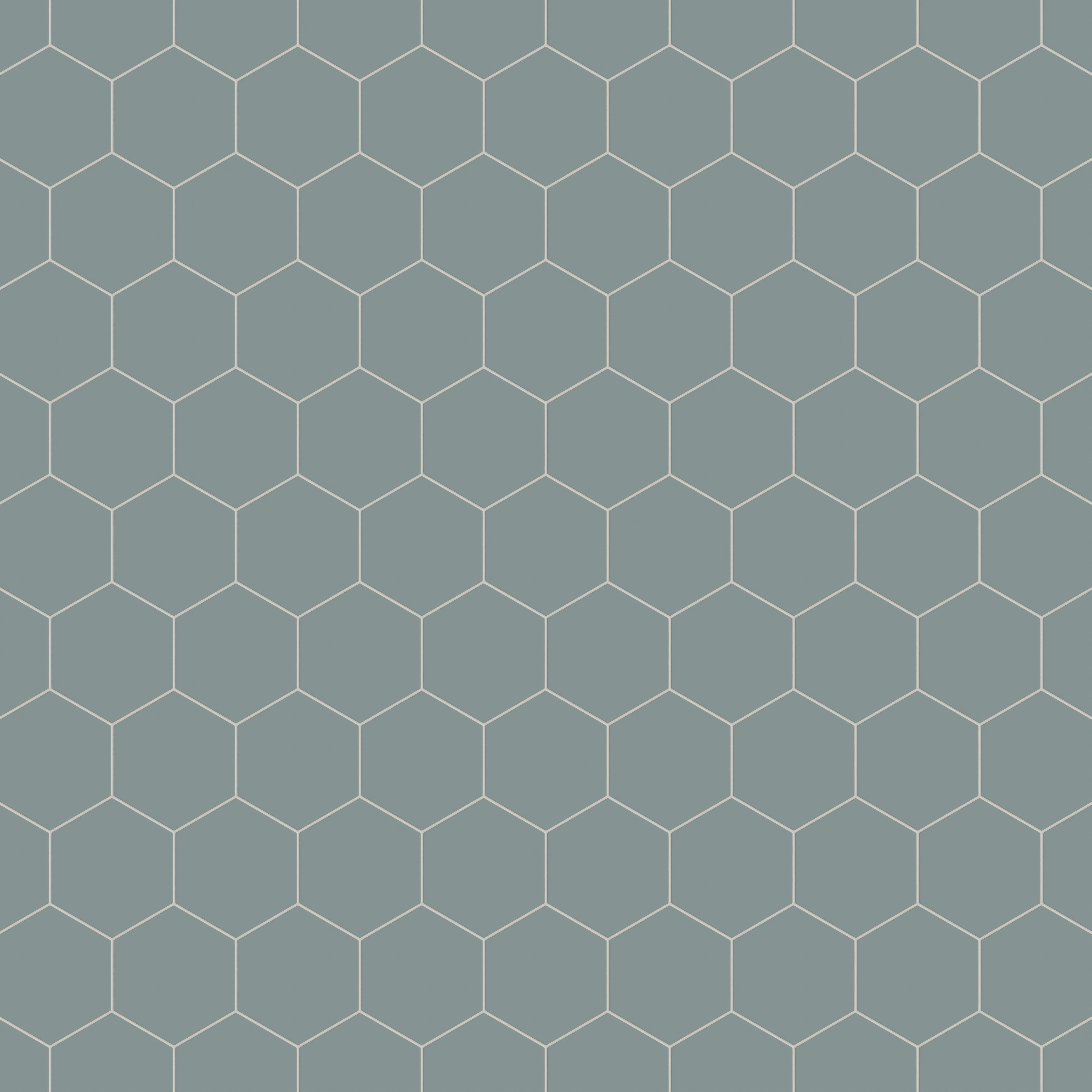 8" Hexagon Natural Press Ceramic Tile in North Fork Matte