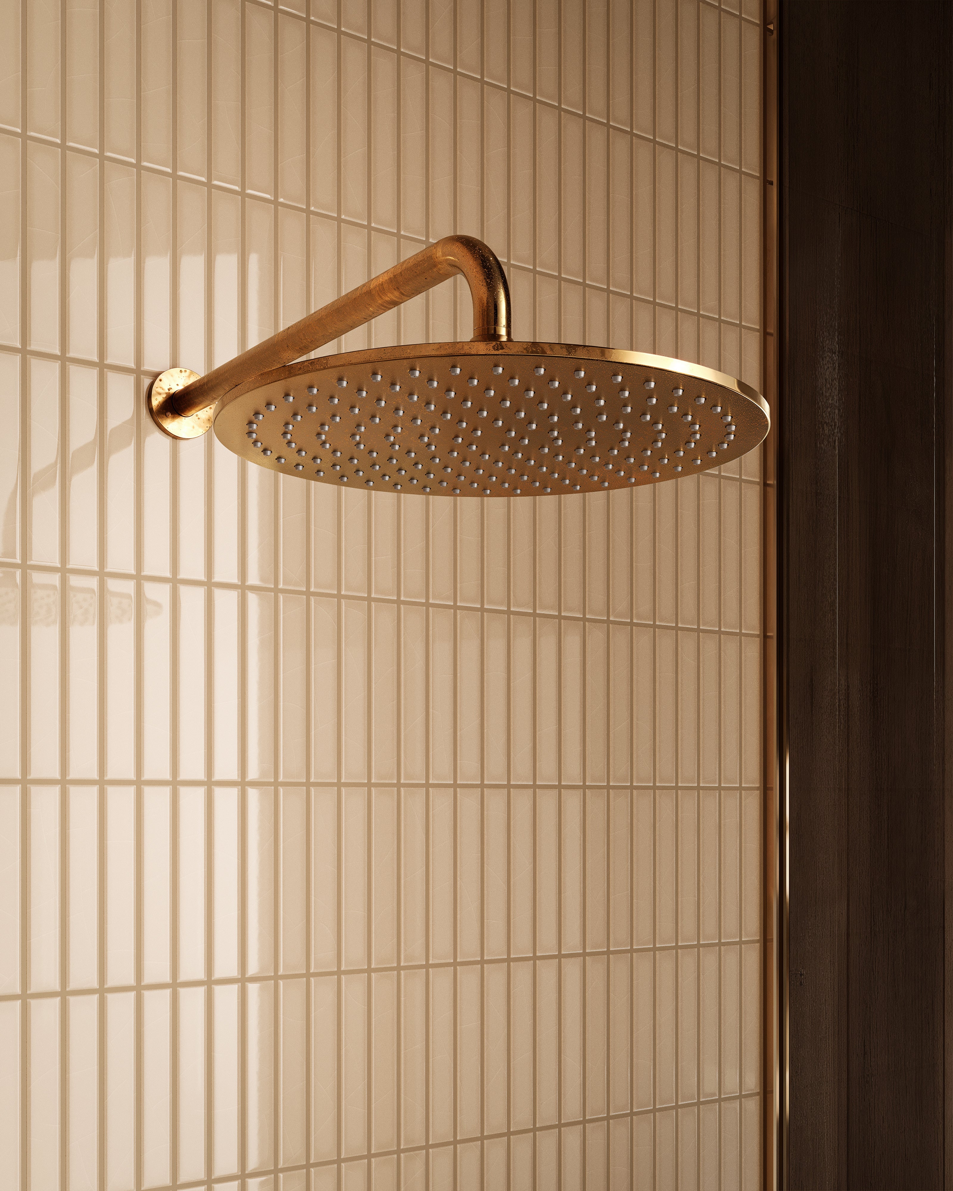 Shower 12" Flat Shower Head in Uncoated Polished Brass