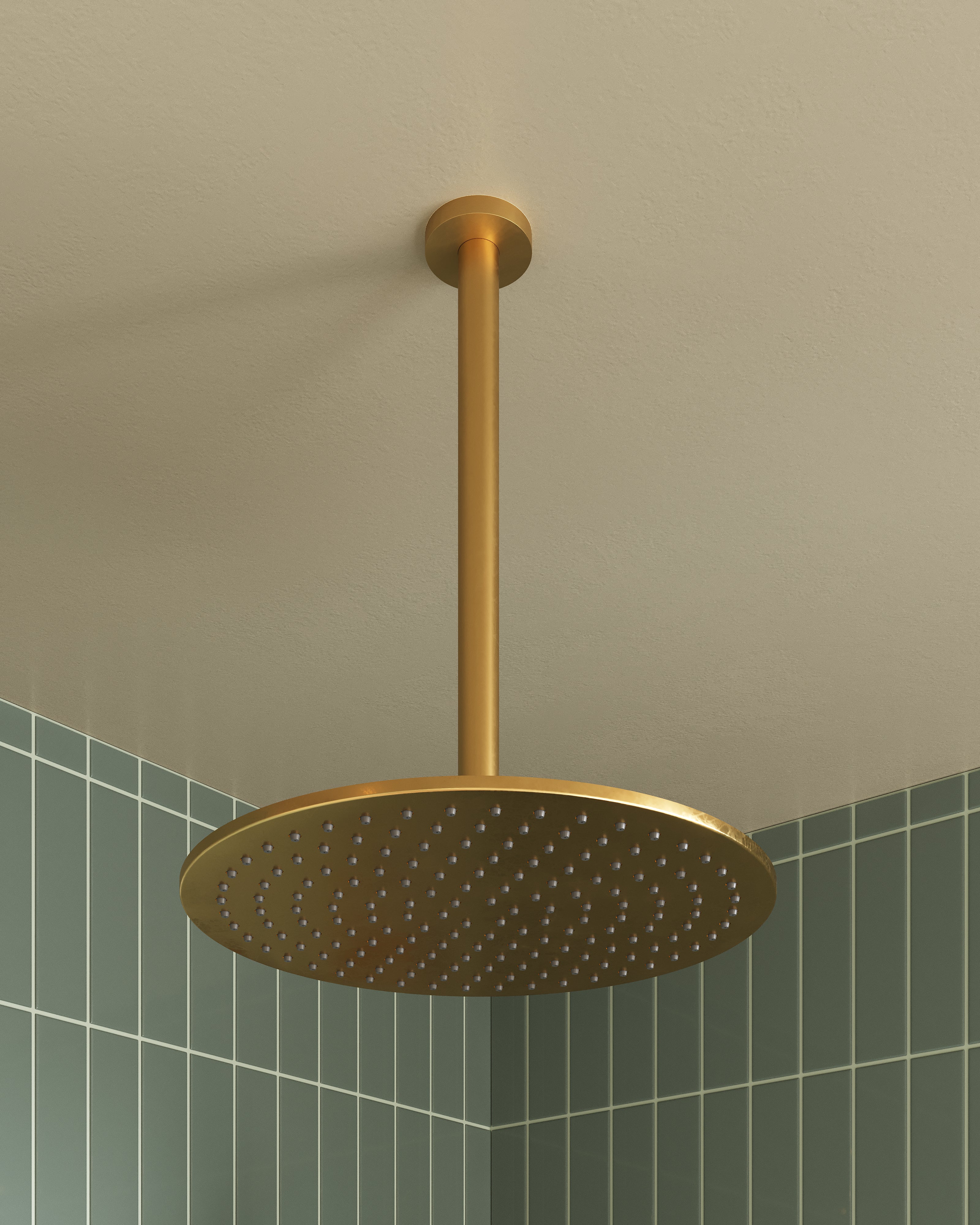 Shower 12" Flat Shower Head in French Brass