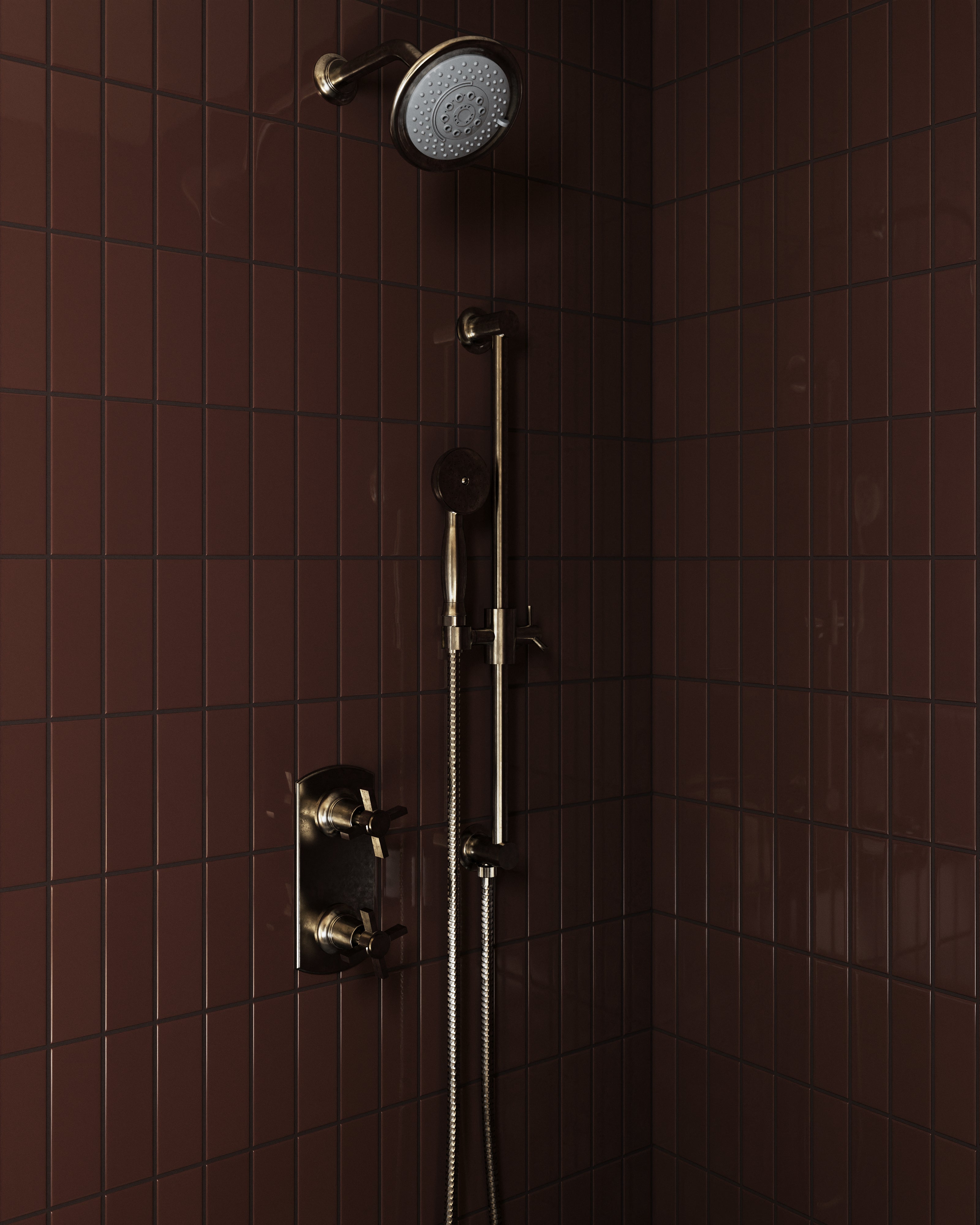 Shower Traditional Multi-Function Shower Head in French Nickel