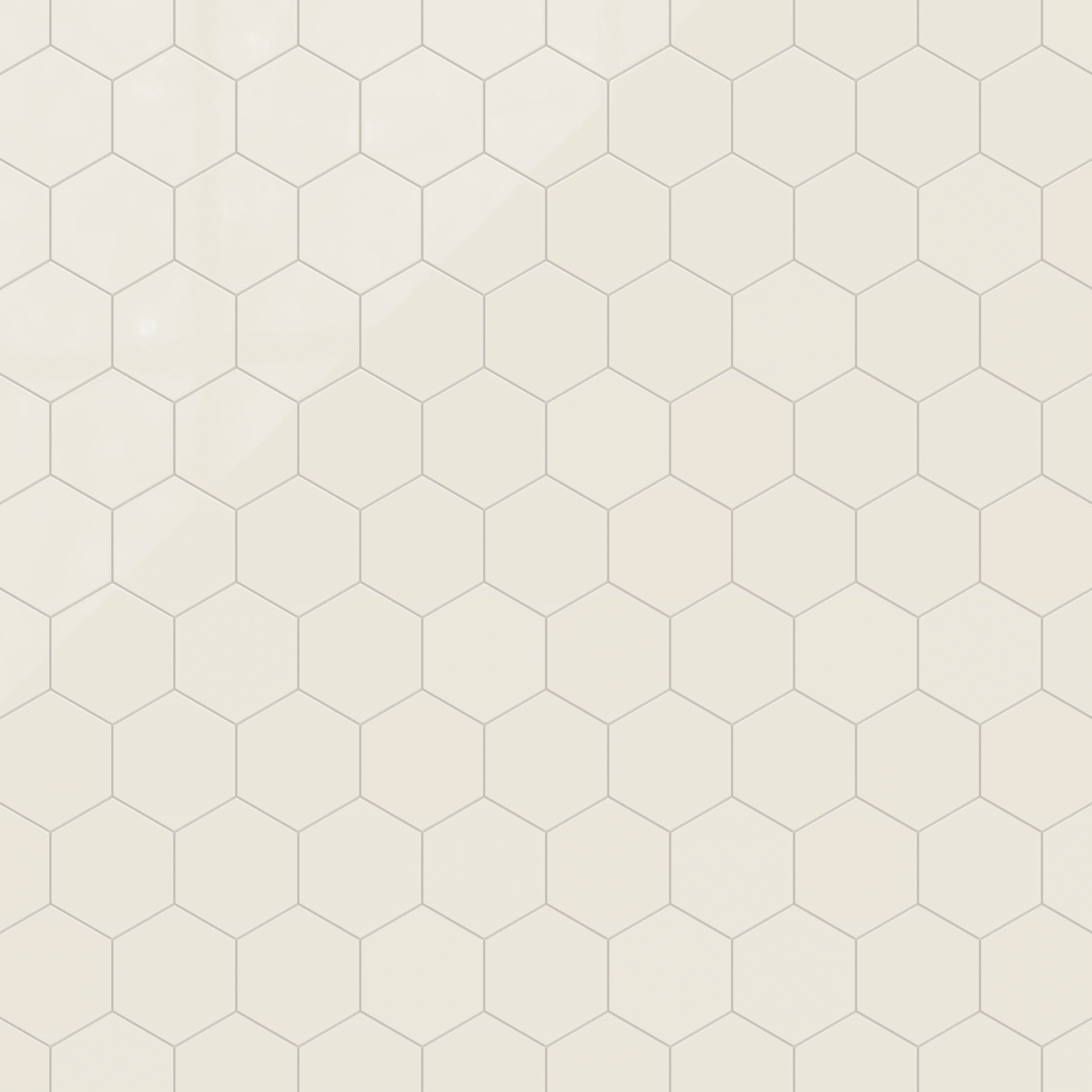 8" Hexagon Natural Press Ceramic Tile in Salt Creek Gloss
