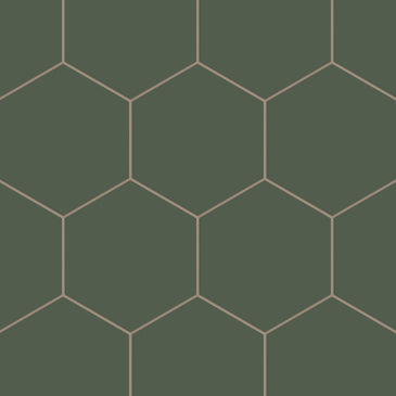 8" Hexagon Natural Press Ceramic Tile in San Juan Matte
