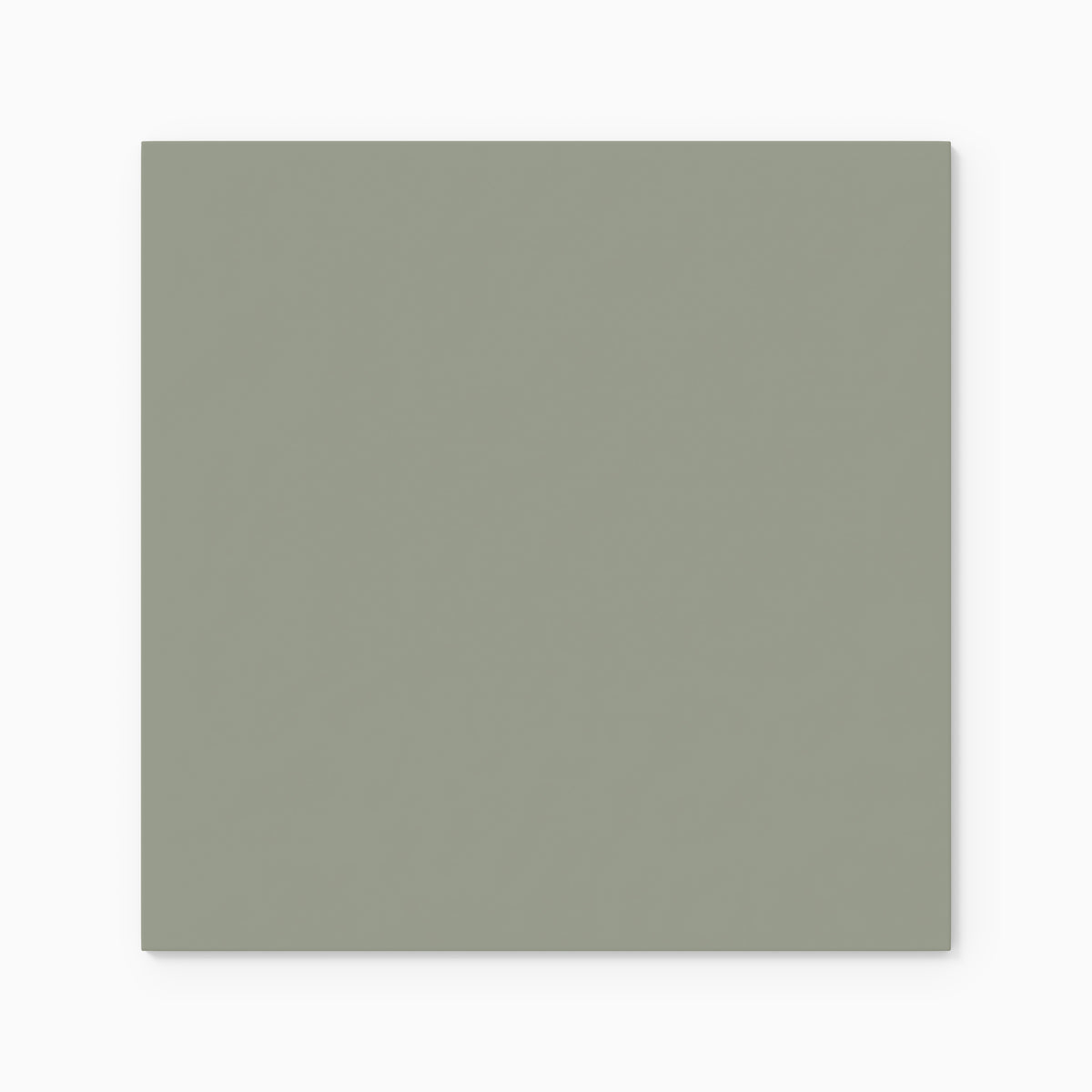12x12 Natural Press Ceramic Tile in Terre Verte Gloss